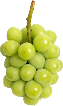 GRAPE SHINE MUSCAT EDITED 2.png