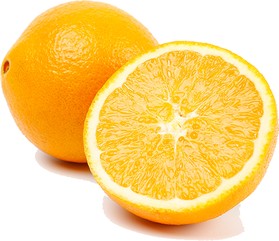 edited_sp_navel orange.png