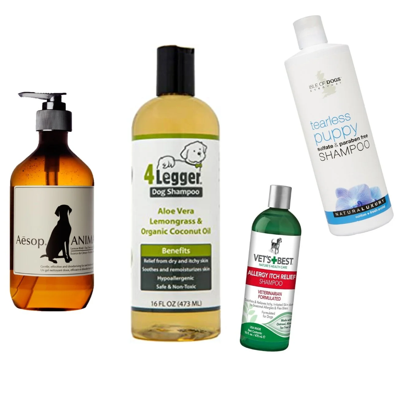 Best shampoos for dogs