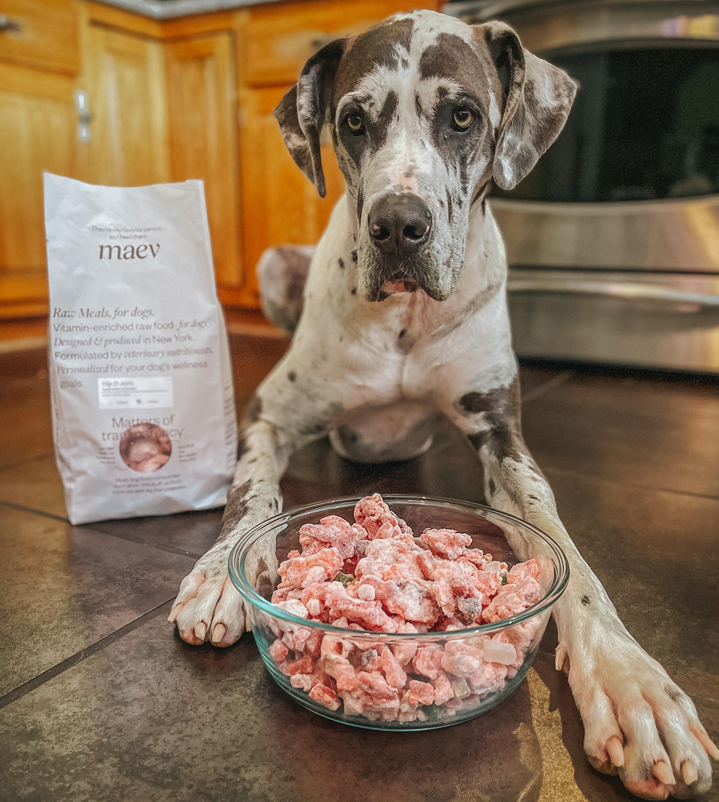 How The Founder Of Maev Is Creating Healthy Lifestyles For Dogs Through  Human-Grade Nutrition
