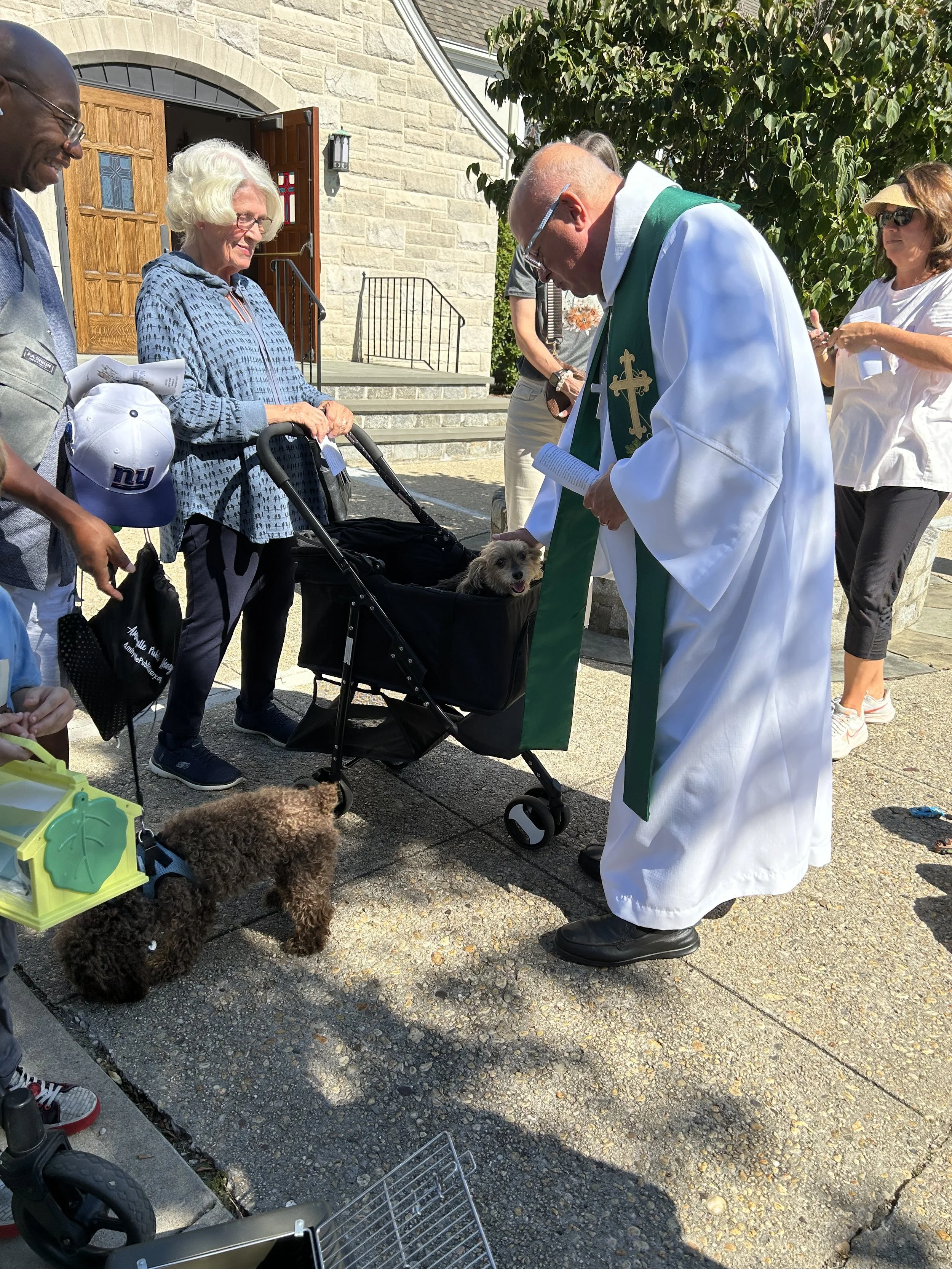 Blessing of the pets