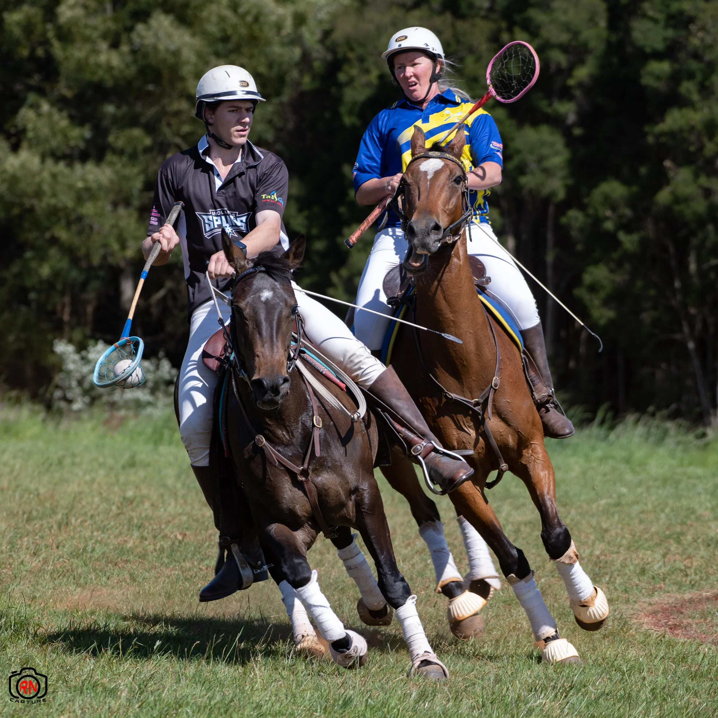 Square Polocrosse Racket Look see at Polocrosse — Roger Nichols' Photos and Other Stuff
