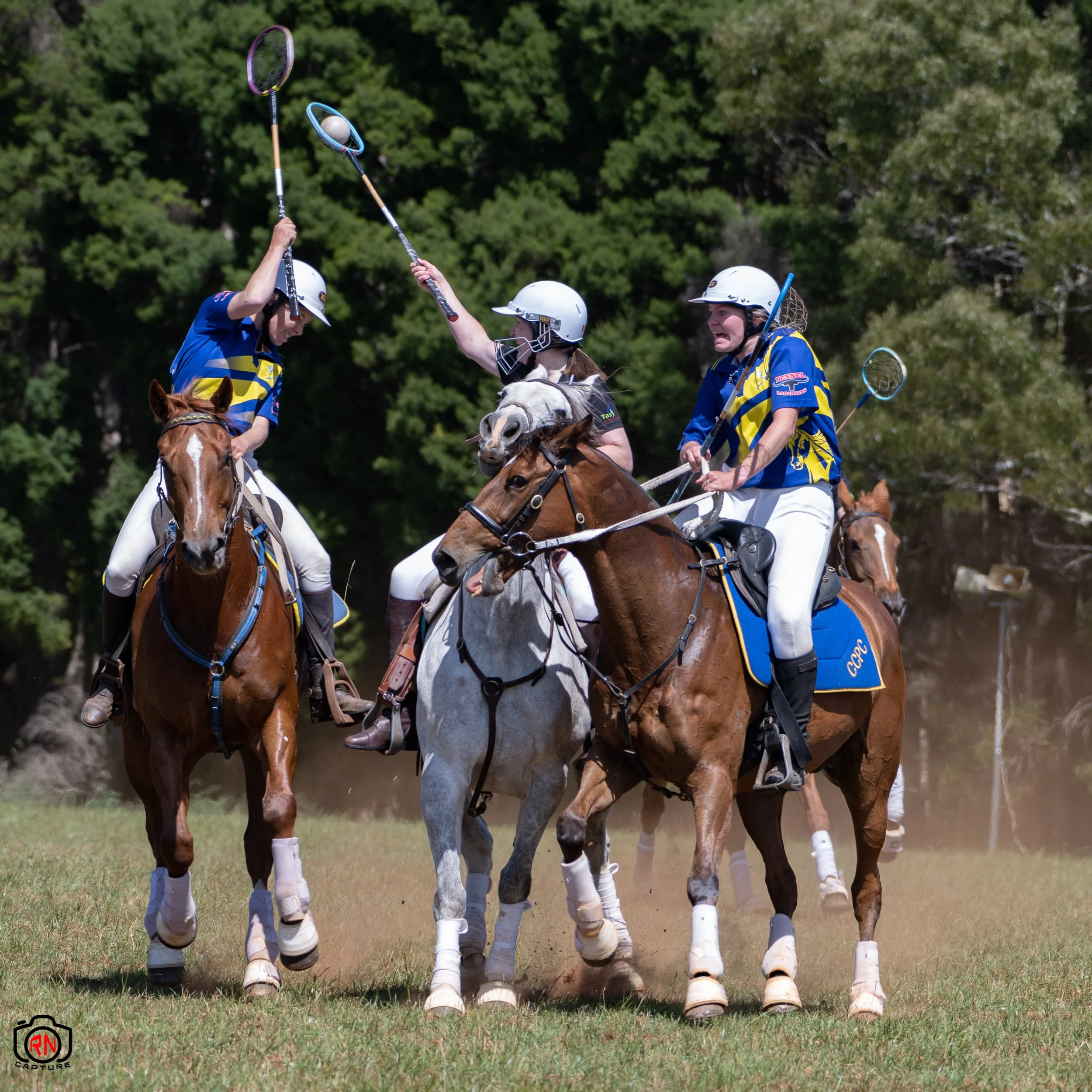 Look see at Polocrosse — Roger Nichols' Photos and Other Stuff