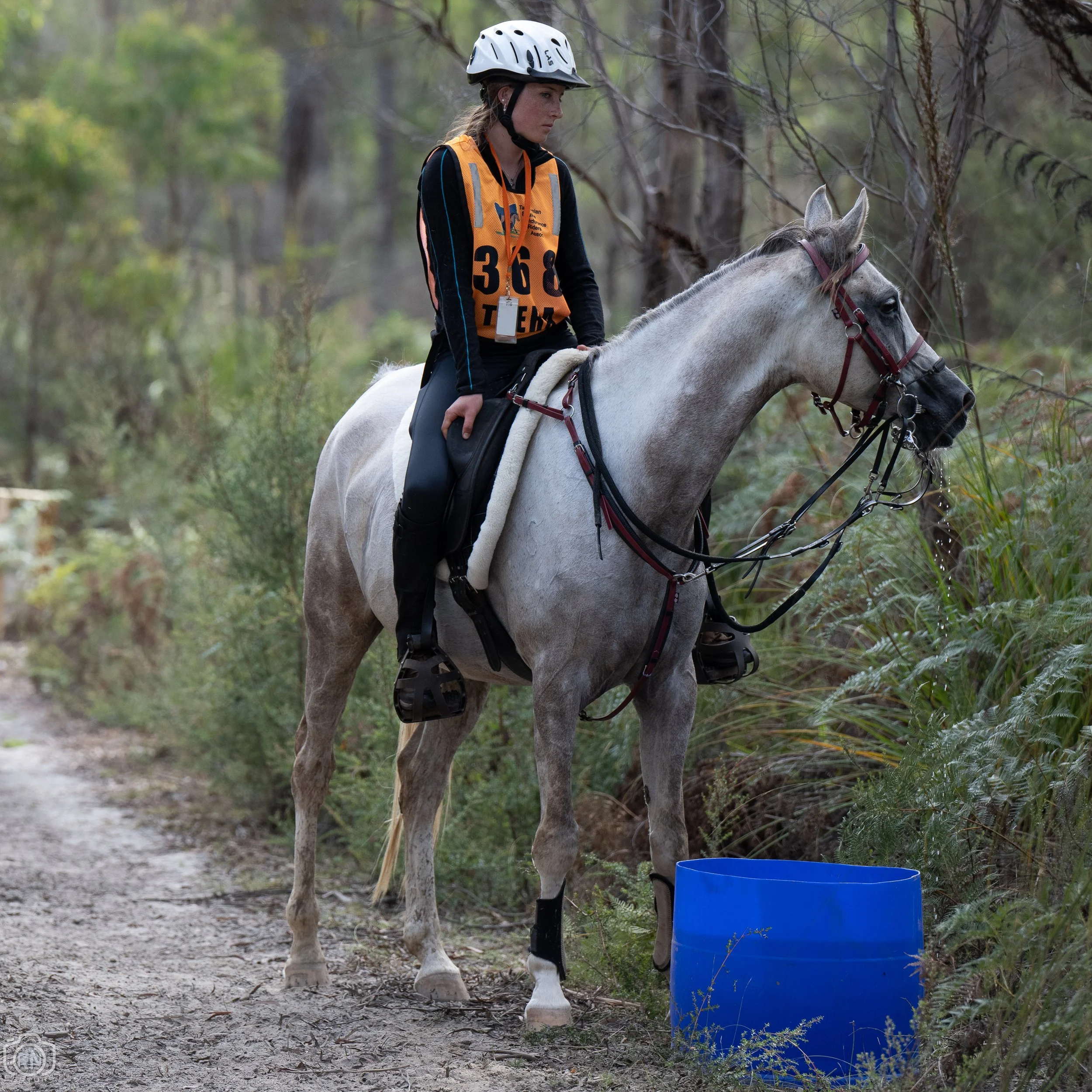 Wattlewood Park Endurance Ride — Roger Nichols' Photos and Other Stuff