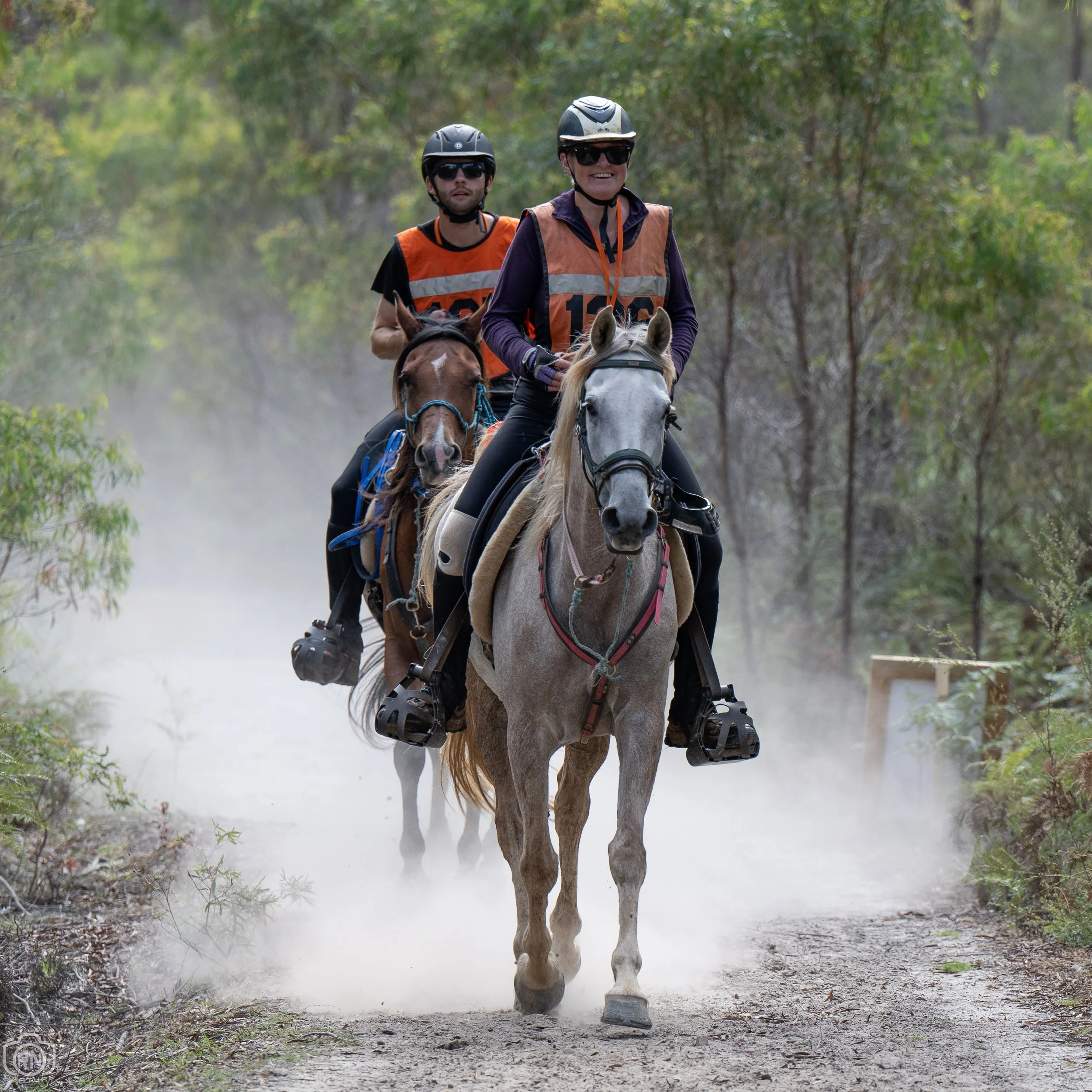 Wattlewood Park Endurance Ride — Roger Nichols' Photos and Other Stuff