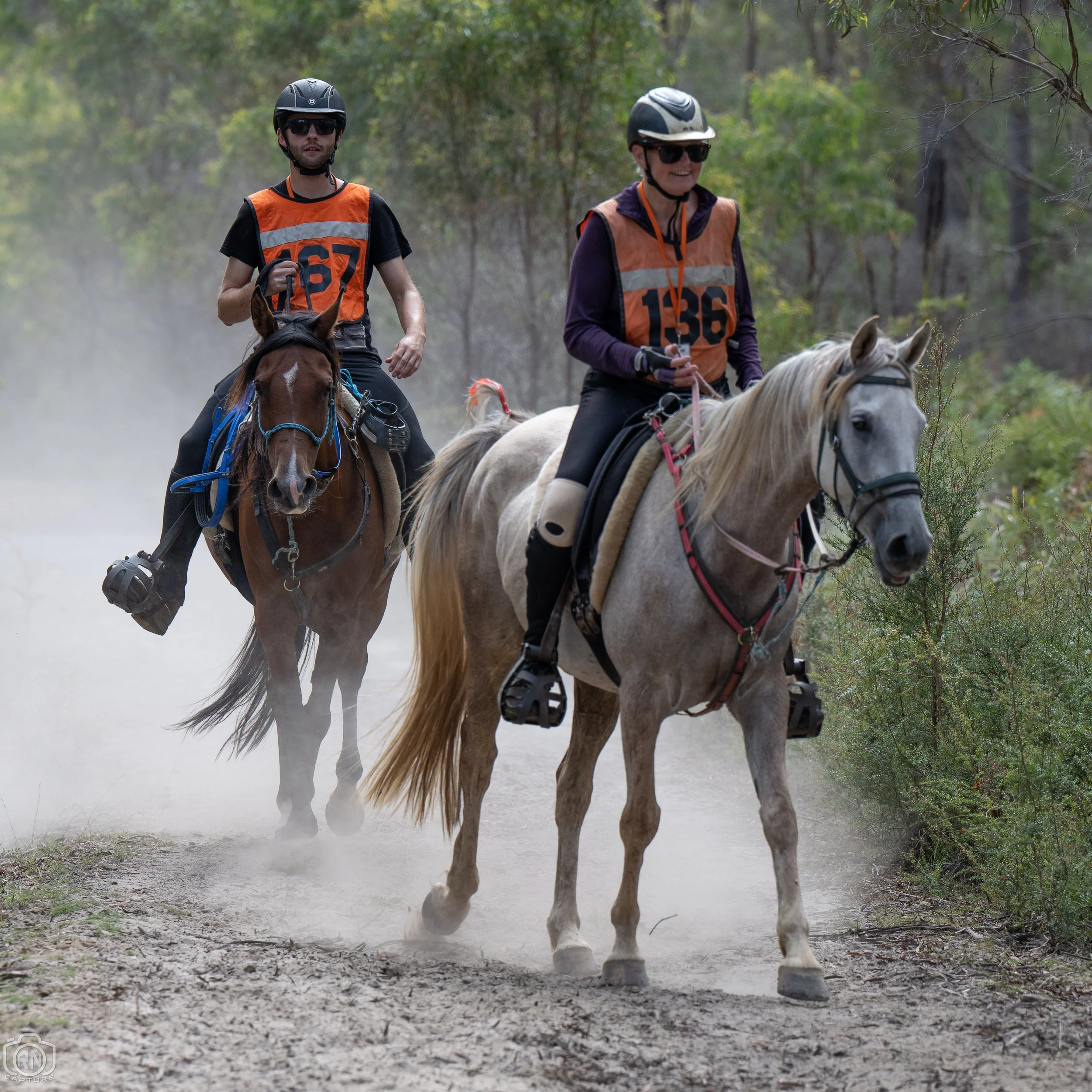 Wattlewood Park Endurance Ride — Roger Nichols' Photos and Other Stuff