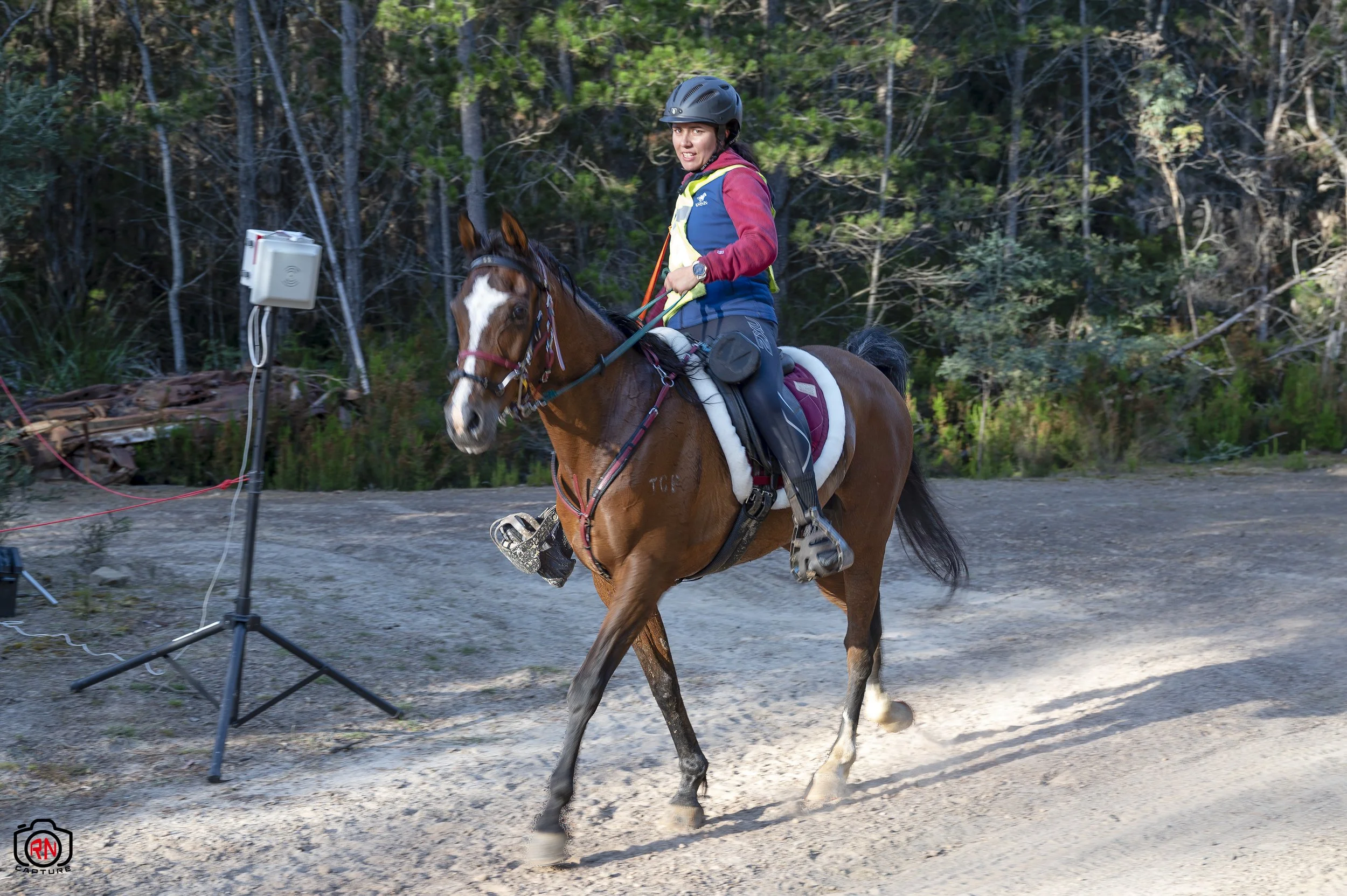StateChampionships -Endurance Riding — Roger Nichols' Photos and Other ...