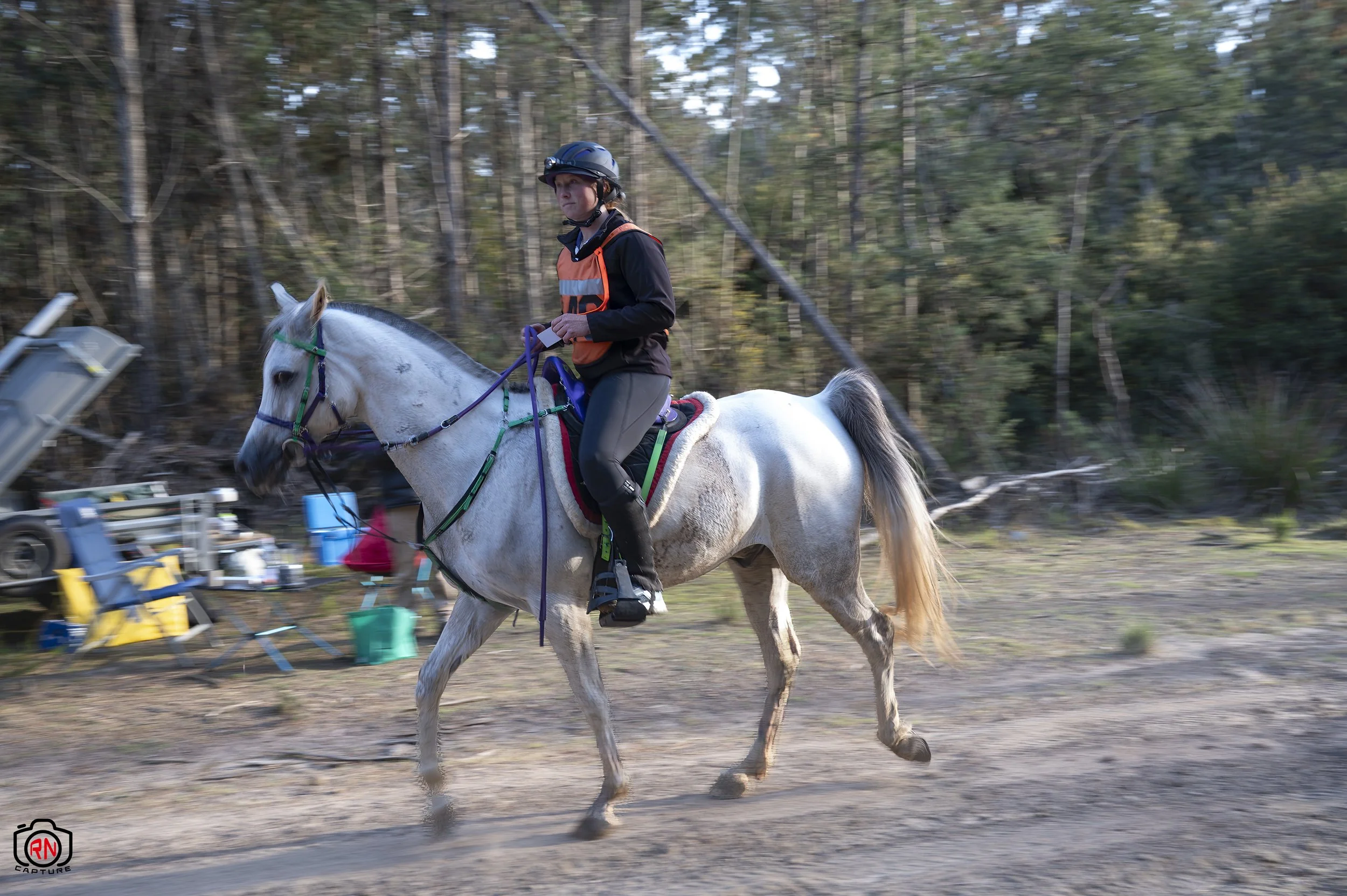 StateChampionships -Endurance Riding — Roger Nichols' Photos and Other ...