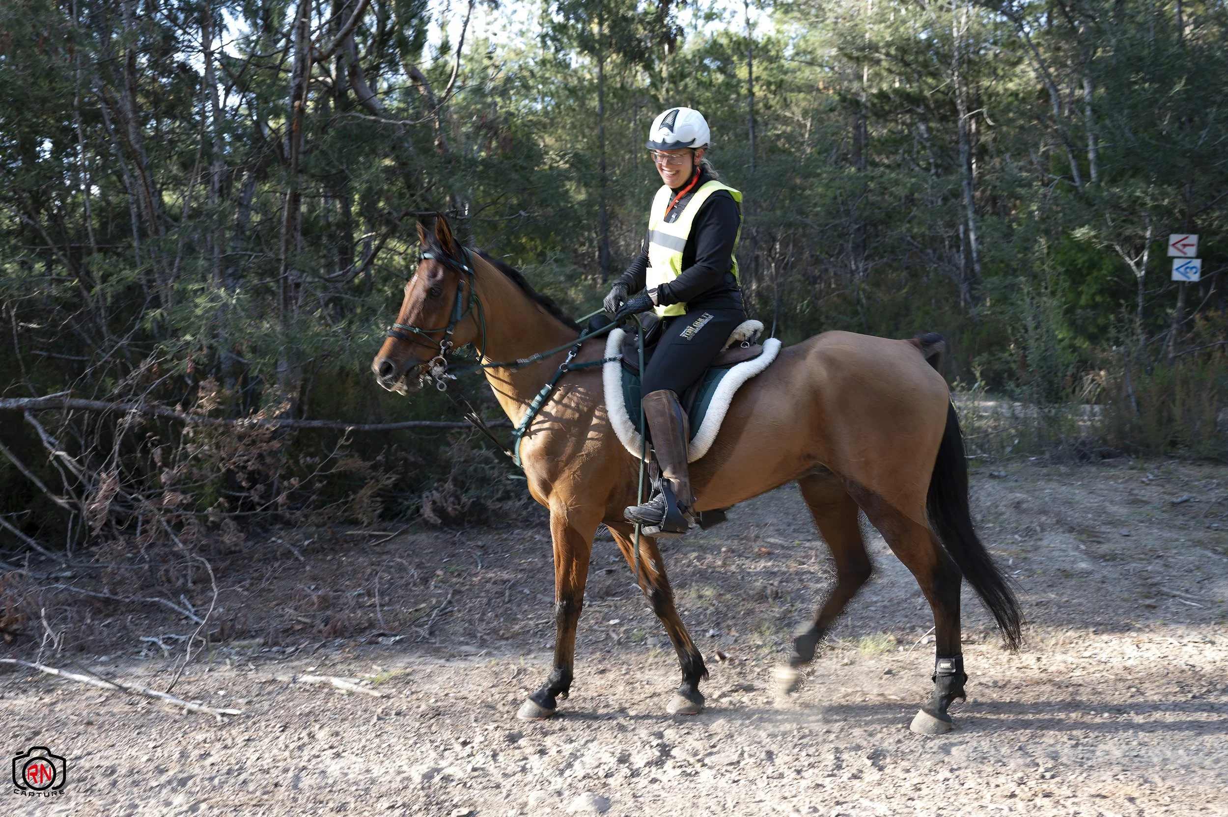 StateChampionships -Endurance Riding — Roger Nichols' Photos and Other ...