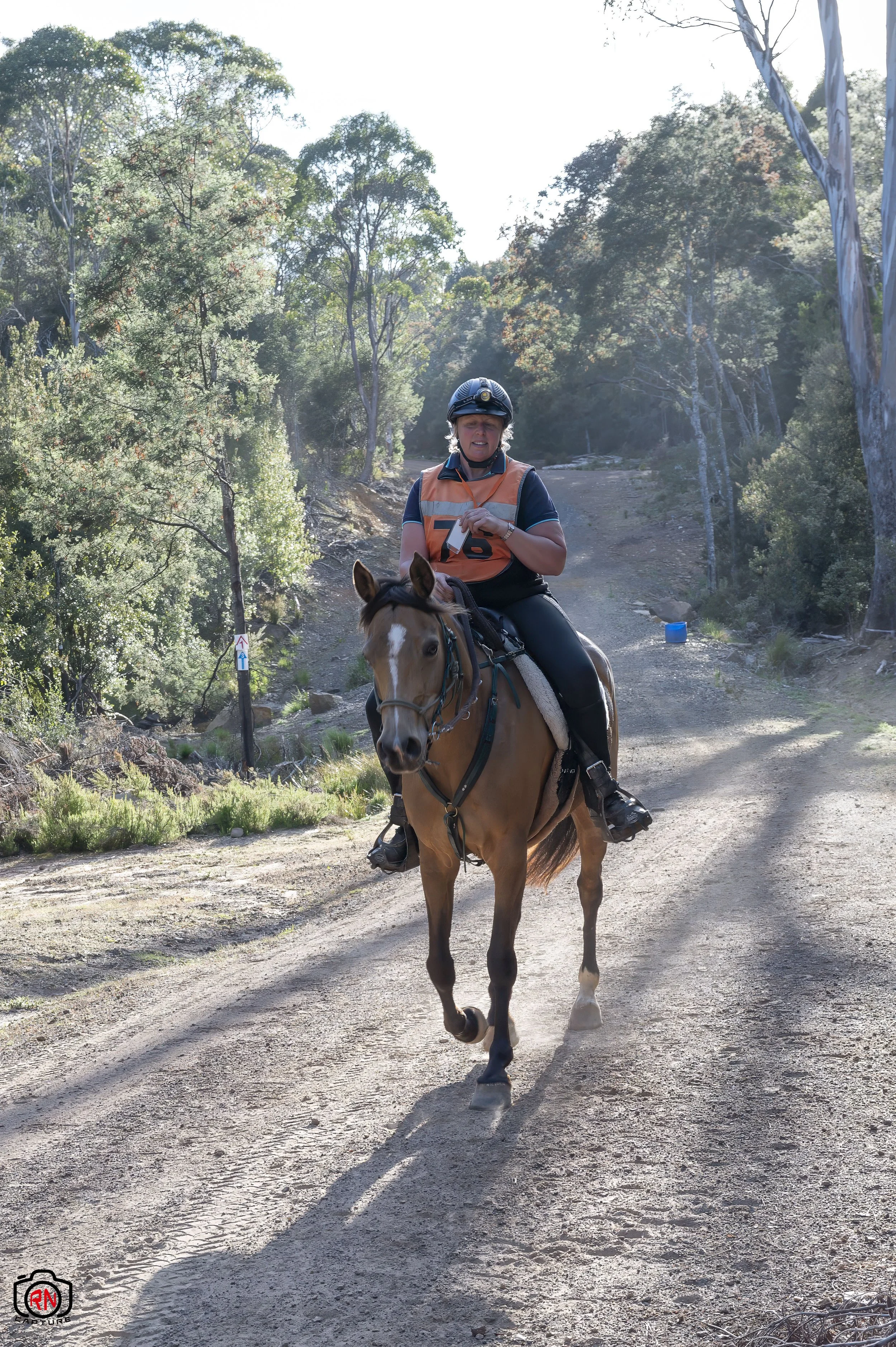 StateChampionships -Endurance Riding — Roger Nichols' Photos and Other ...