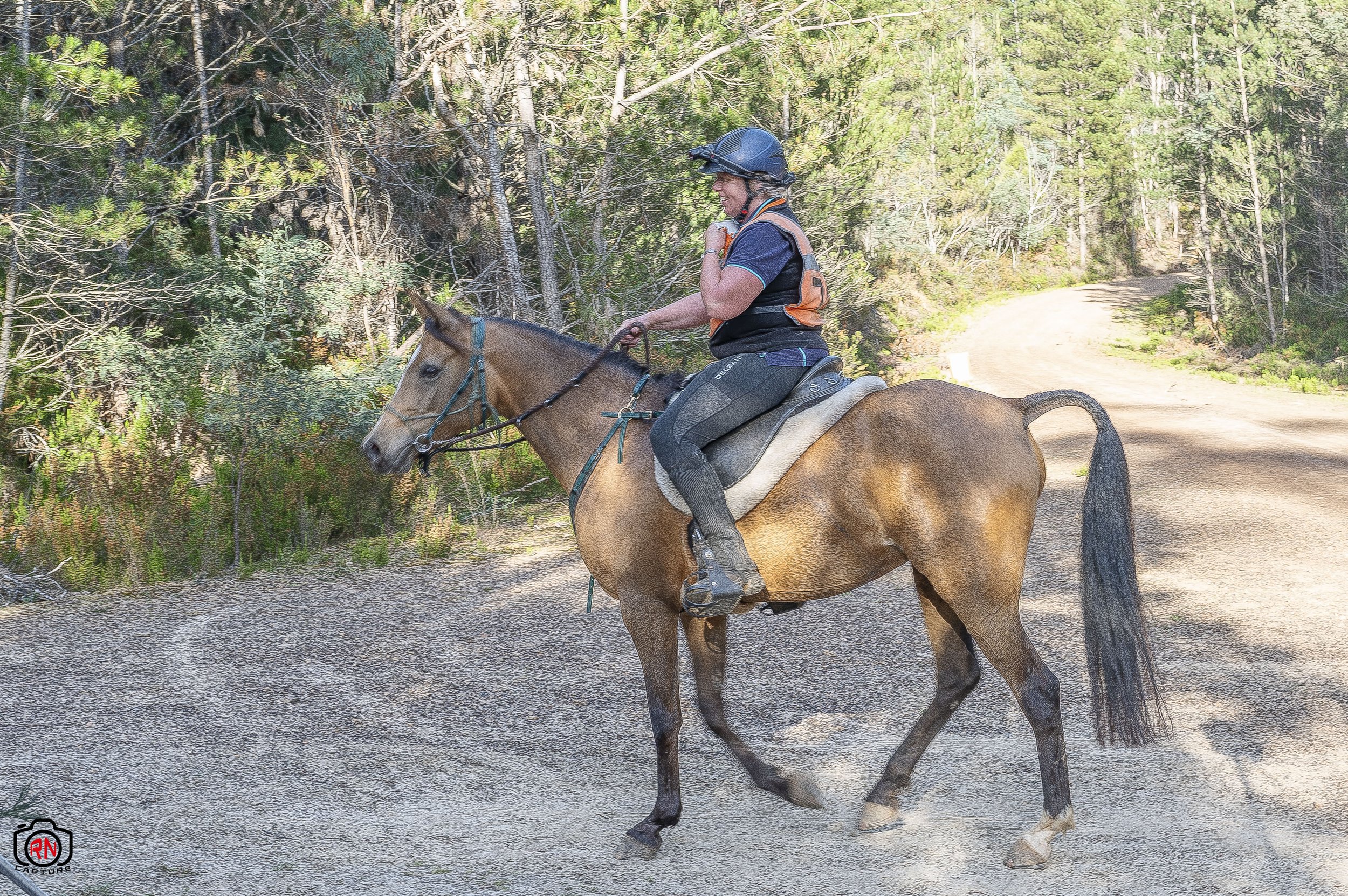 StateChampionships -Endurance Riding — Roger Nichols' Photos and Other ...