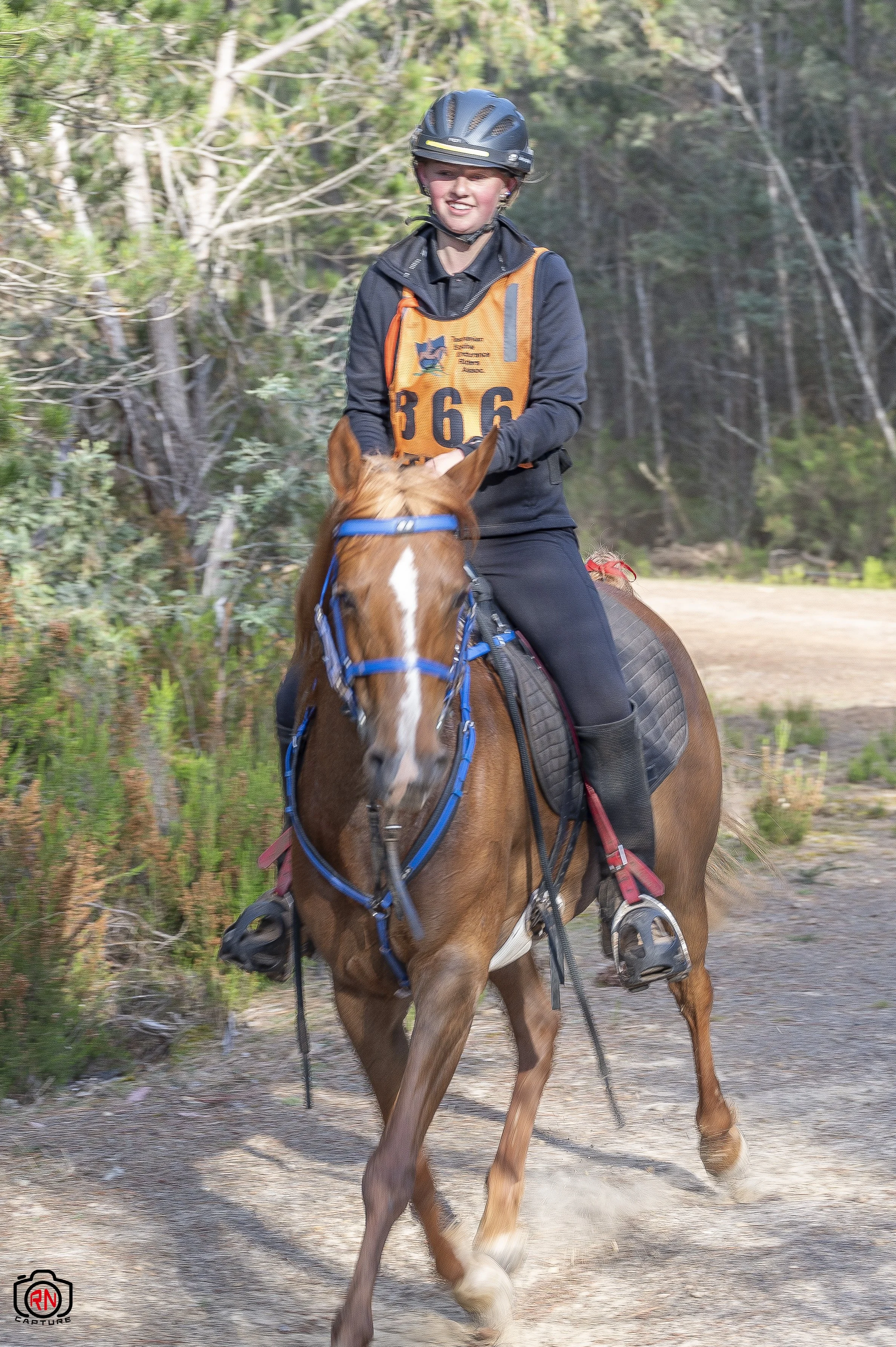 StateChampionships -Endurance Riding — Roger Nichols' Photos and Other ...