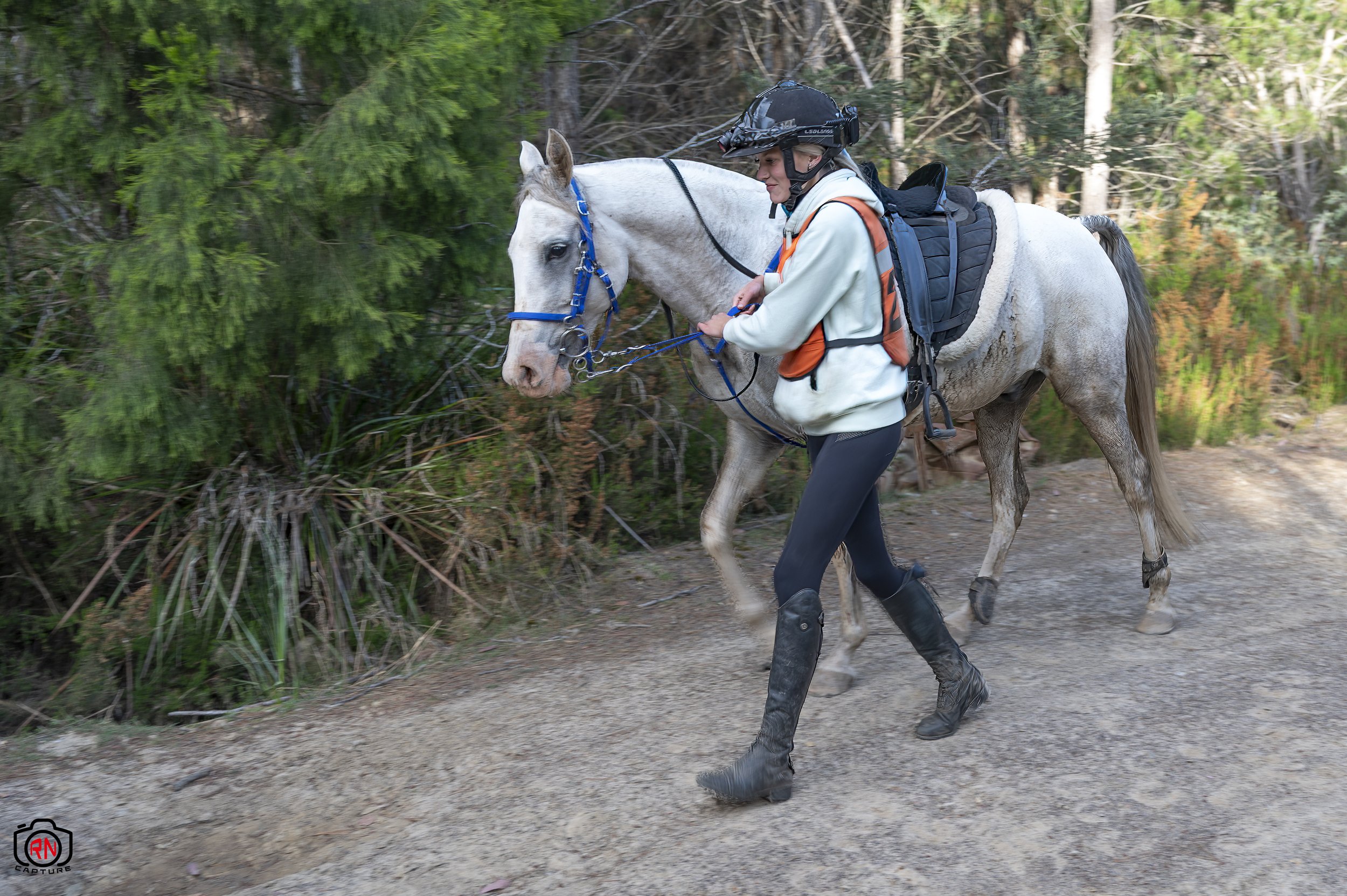 StateChampionships -Endurance Riding — Roger Nichols' Photos and Other ...