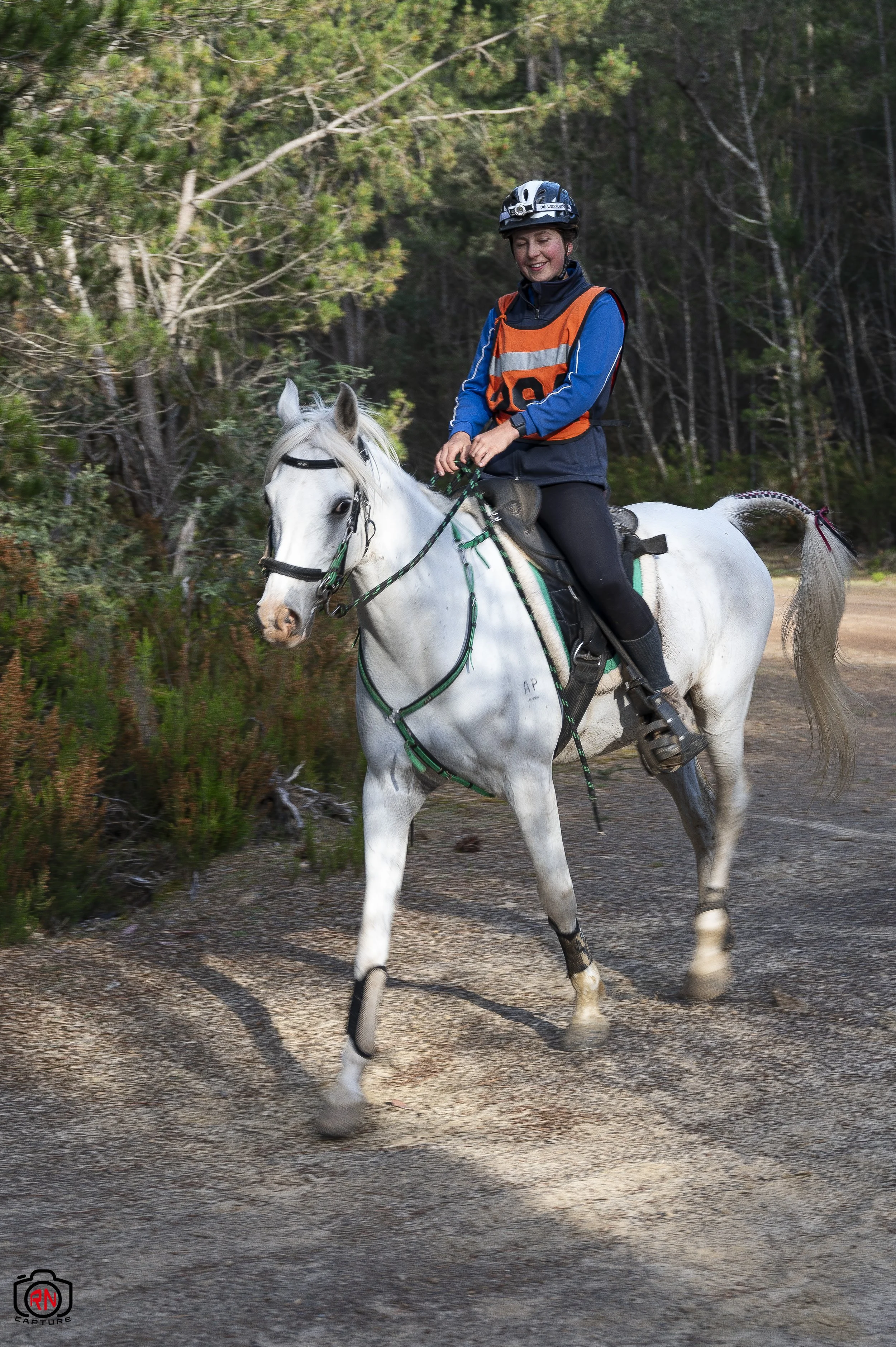 StateChampionships -Endurance Riding — Roger Nichols' Photos and Other ...
