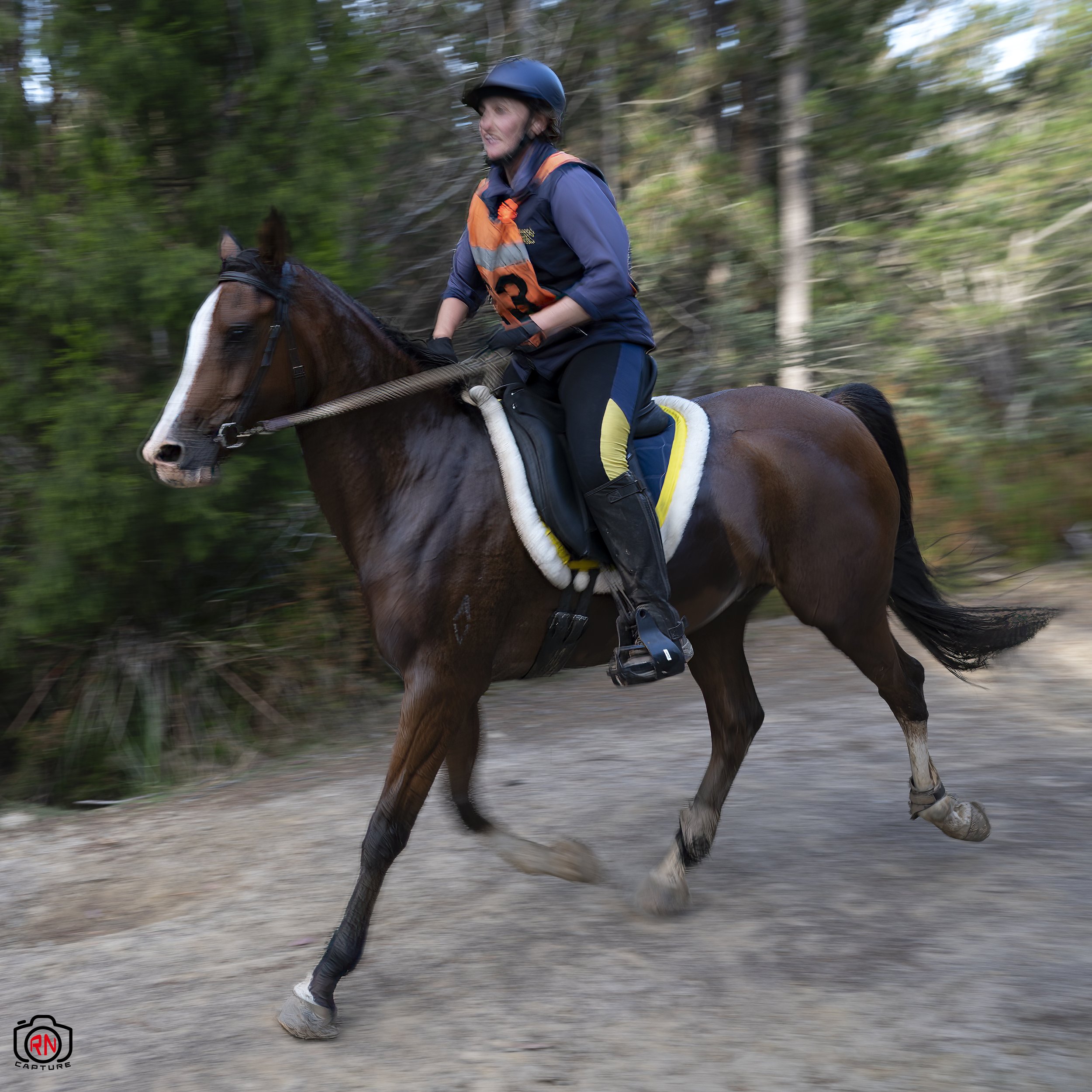StateChampionships -Endurance Riding — Roger Nichols' Photos and Other ...