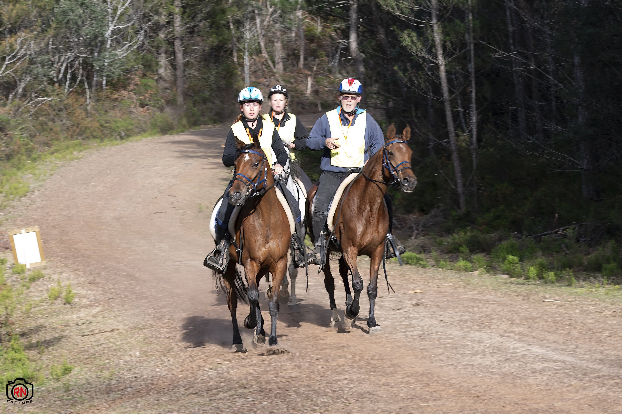StateChampionships -Endurance Riding — Roger Nichols' Photos and Other ...