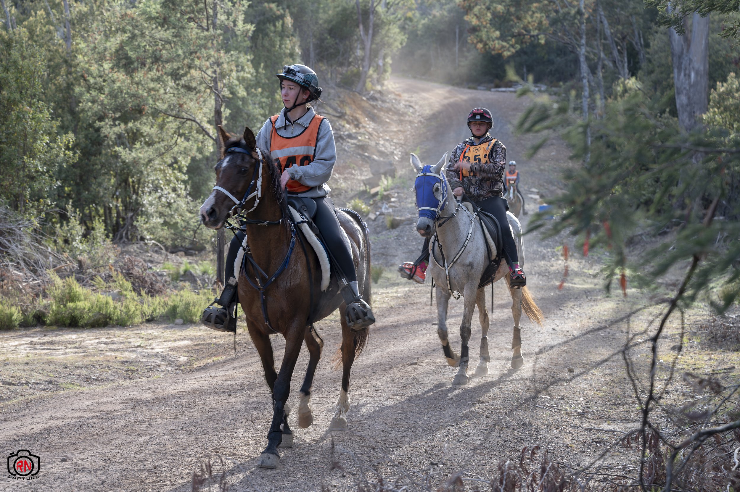 StateChampionships -Endurance Riding — Roger Nichols' Photos and Other ...