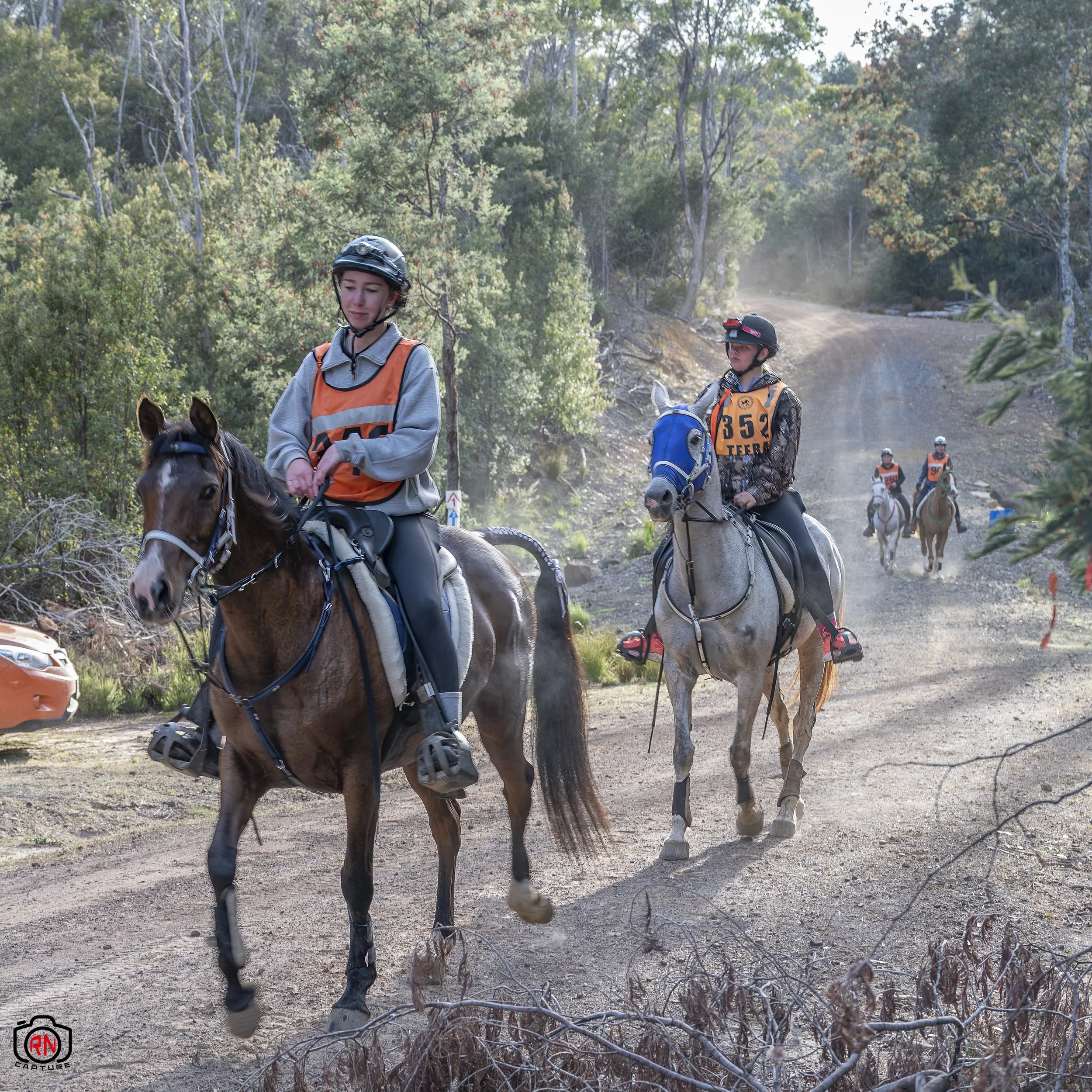 StateChampionships -Endurance Riding — Roger Nichols' Photos and Other ...