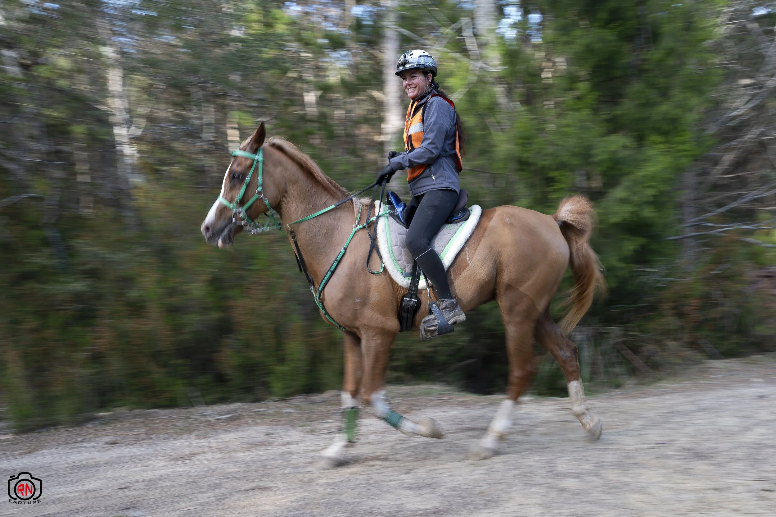 StateChampionships -Endurance Riding — Roger Nichols' Photos and Other ...