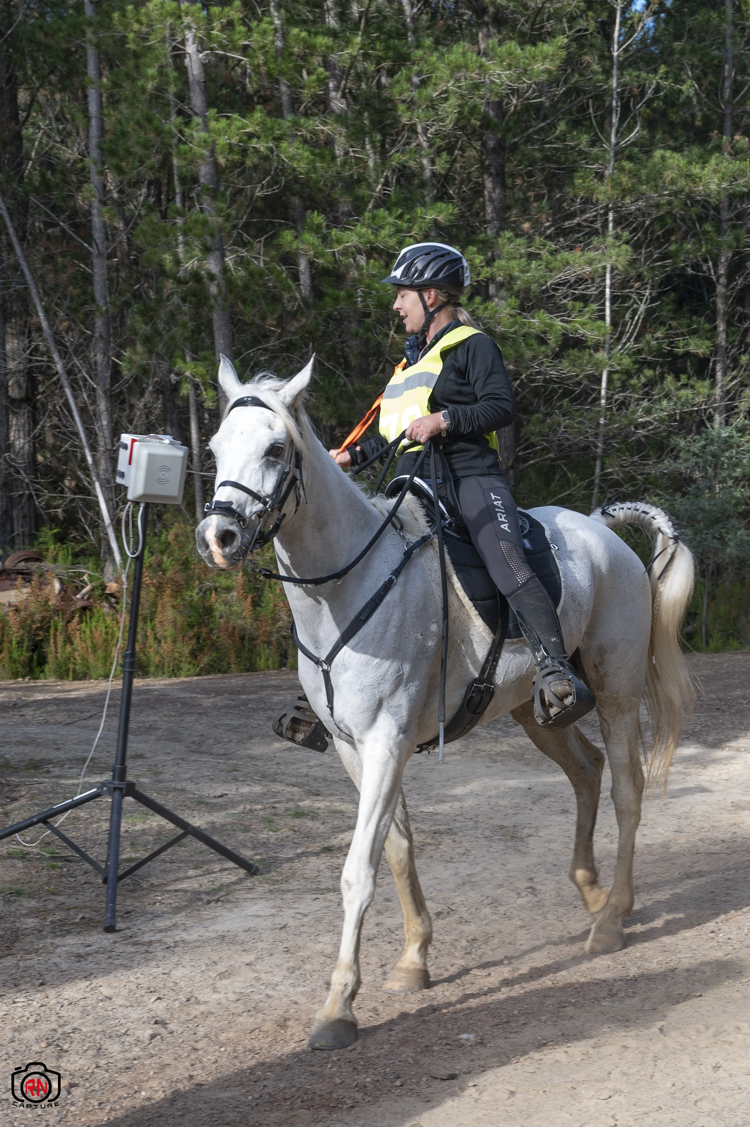 StateChampionships -Endurance Riding — Roger Nichols' Photos and Other ...