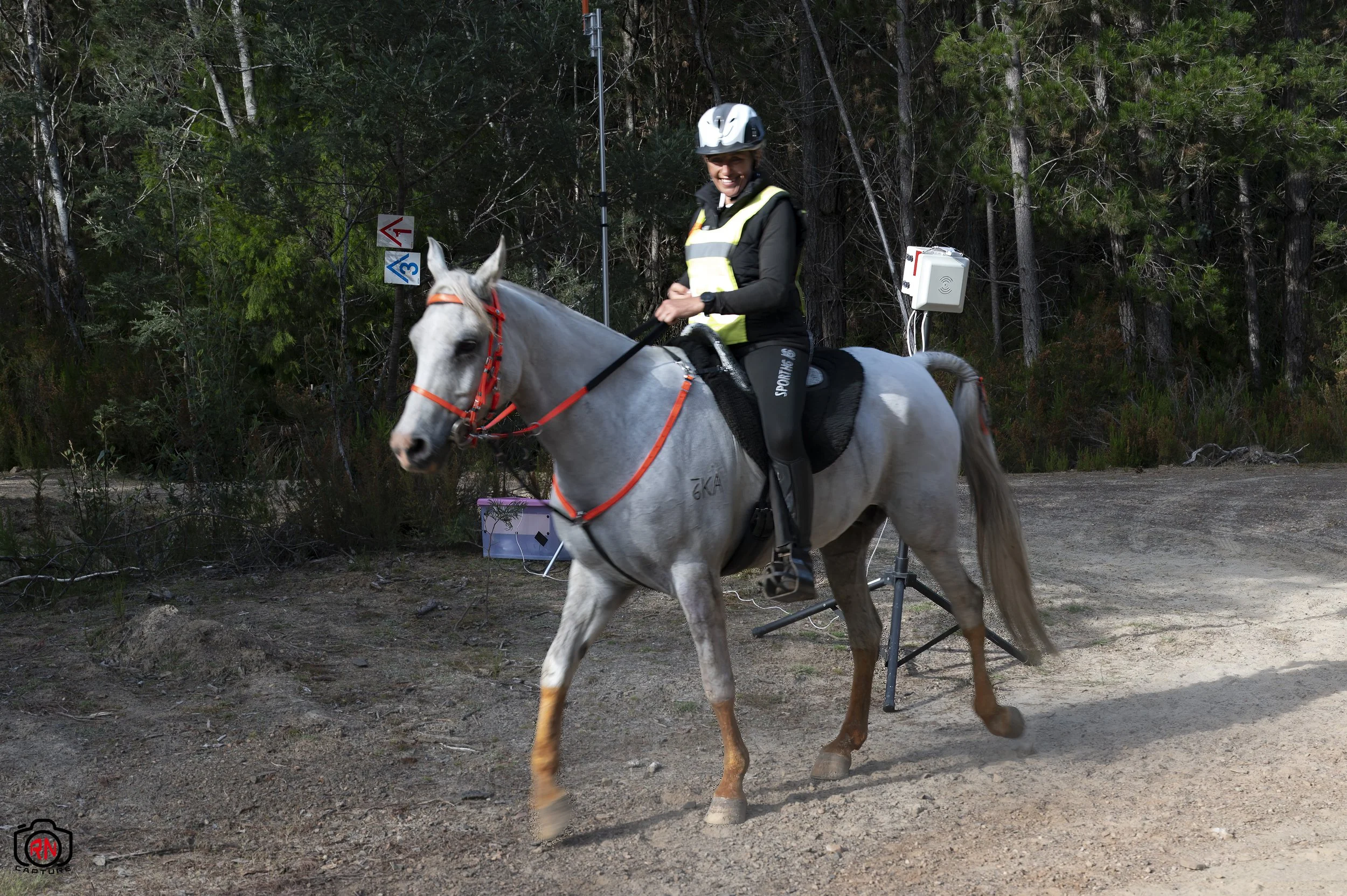 StateChampionships -Endurance Riding — Roger Nichols' Photos and Other ...