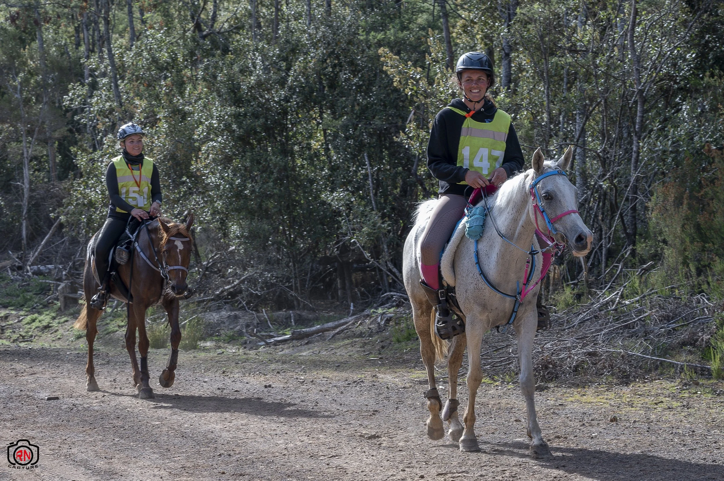 StateChampionships -Endurance Riding — Roger Nichols' Photos and Other ...