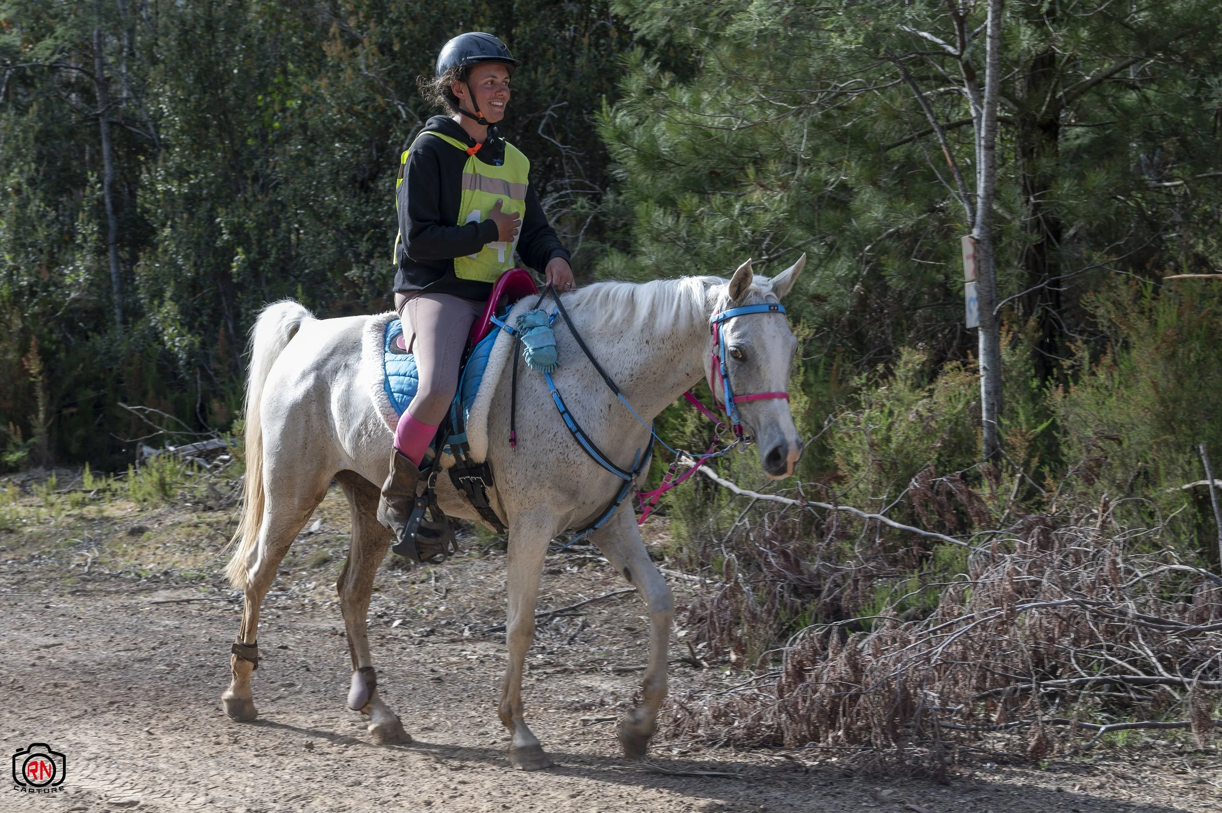 StateChampionships -Endurance Riding — Roger Nichols' Photos and Other ...
