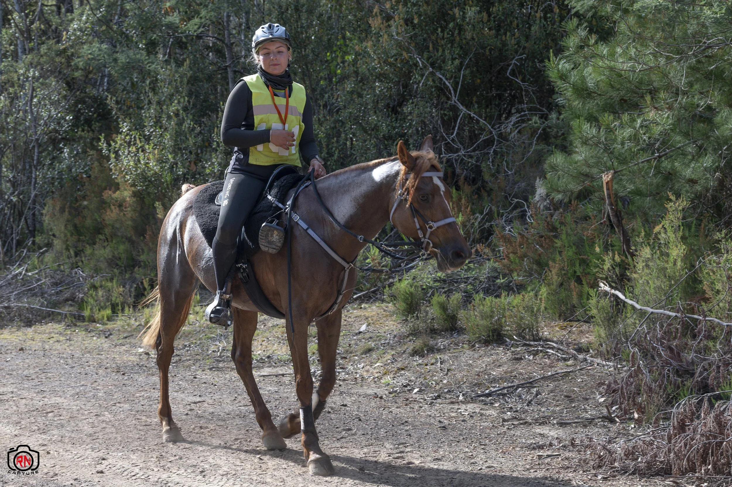 StateChampionships -Endurance Riding — Roger Nichols' Photos and Other ...