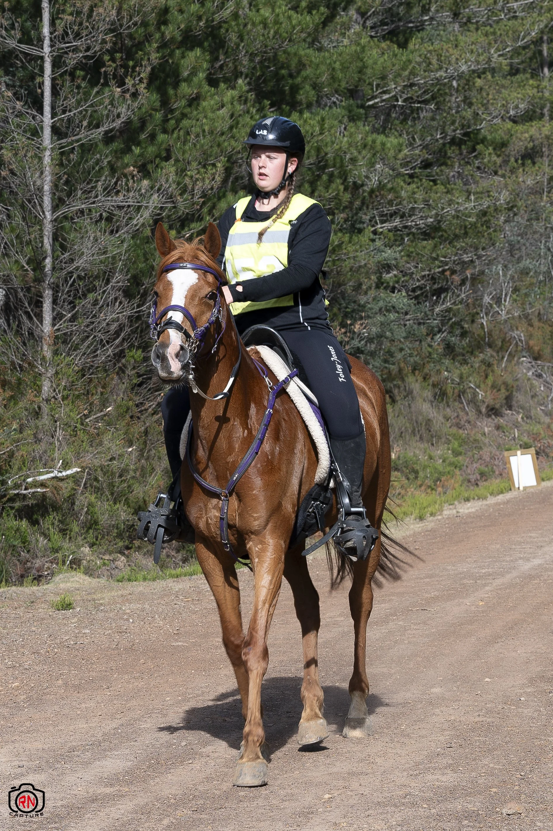 StateChampionships -Endurance Riding — Roger Nichols' Photos and Other ...