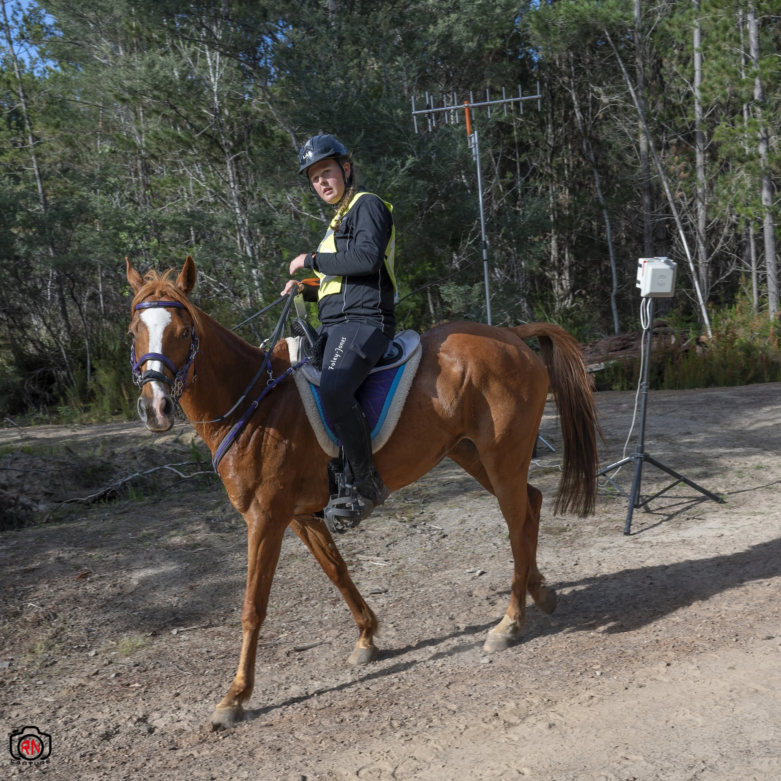 StateChampionships -Endurance Riding — Roger Nichols' Photos and Other ...