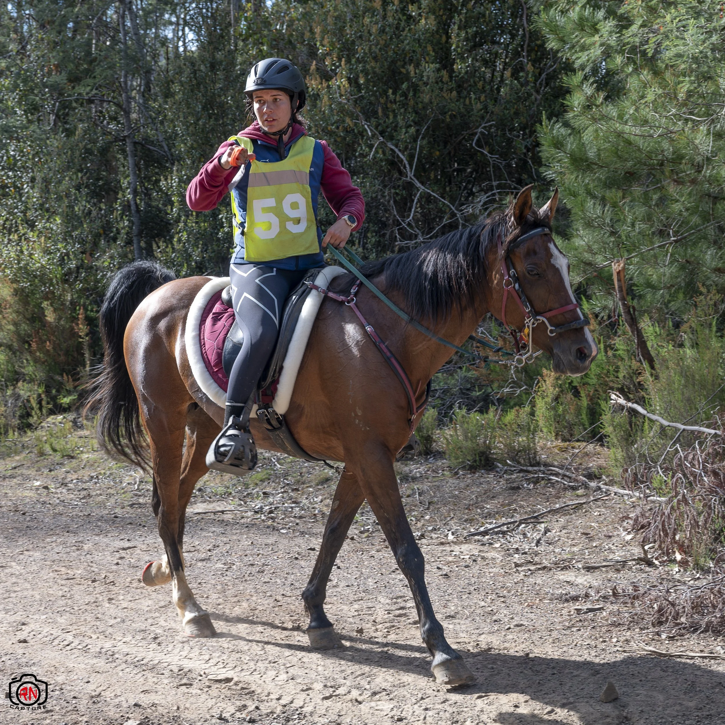 StateChampionships -Endurance Riding — Roger Nichols' Photos and Other ...