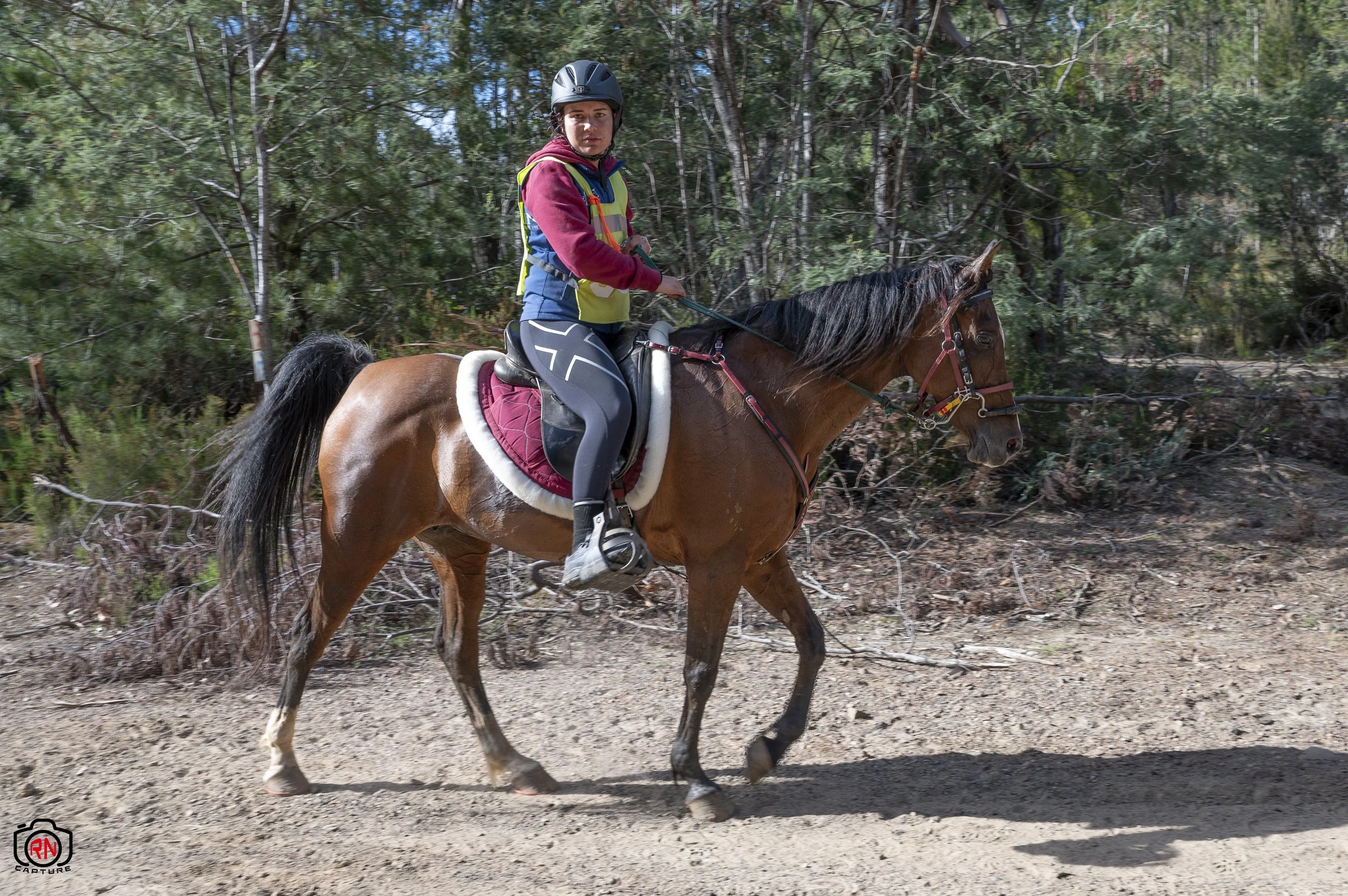 StateChampionships -Endurance Riding — Roger Nichols' Photos and Other ...