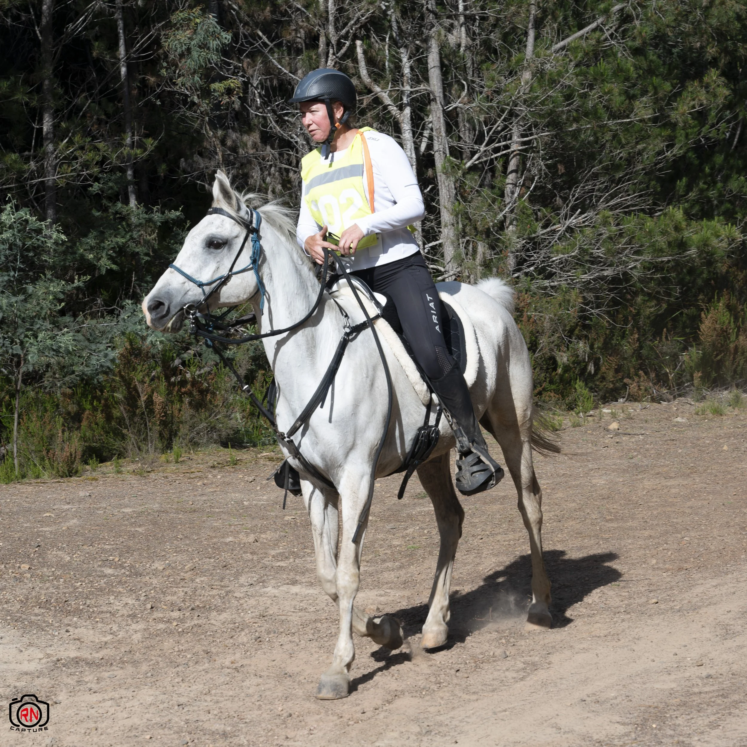 StateChampionships -Endurance Riding — Roger Nichols' Photos and Other ...