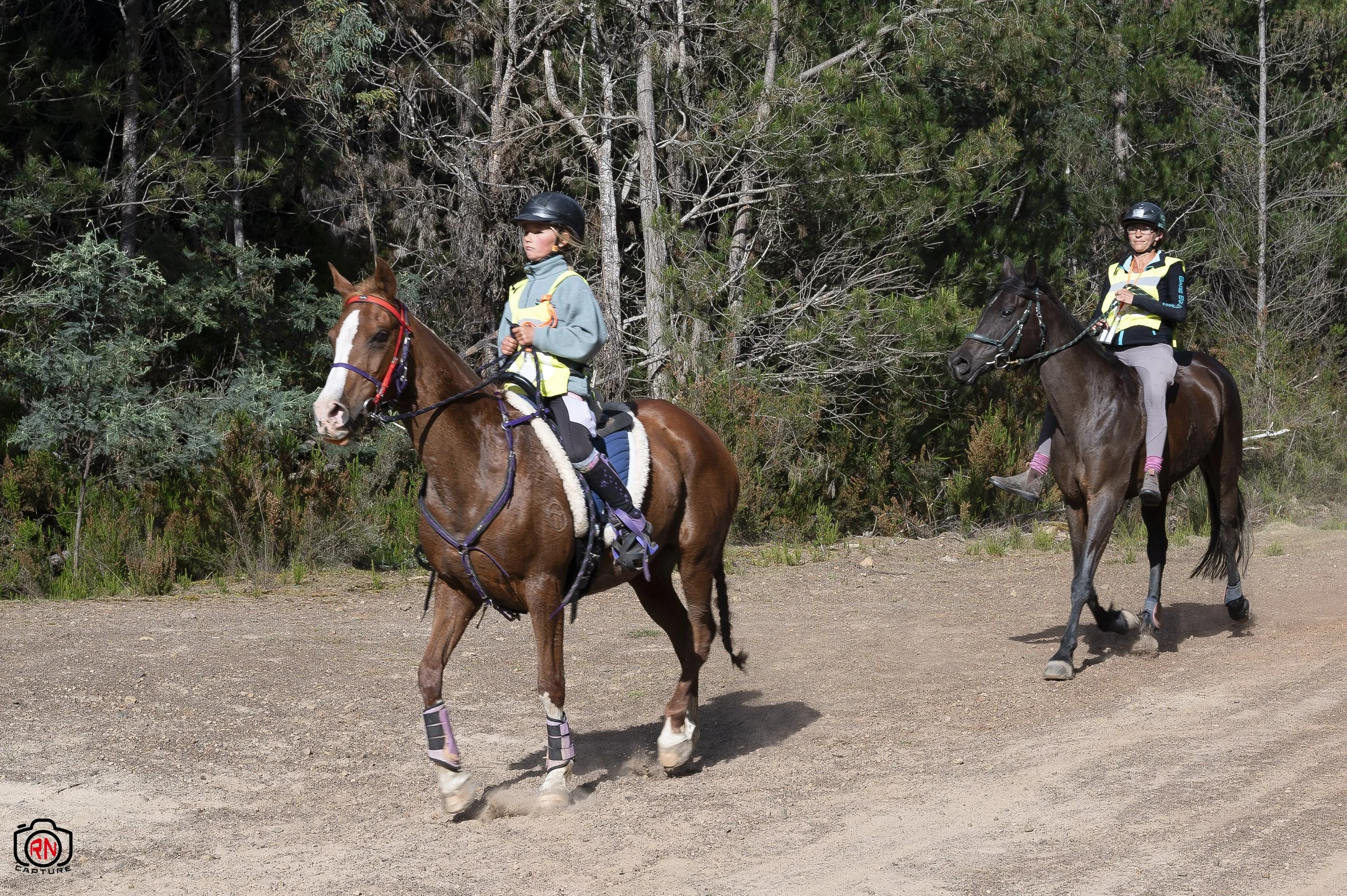StateChampionships -Endurance Riding — Roger Nichols' Photos and Other ...
