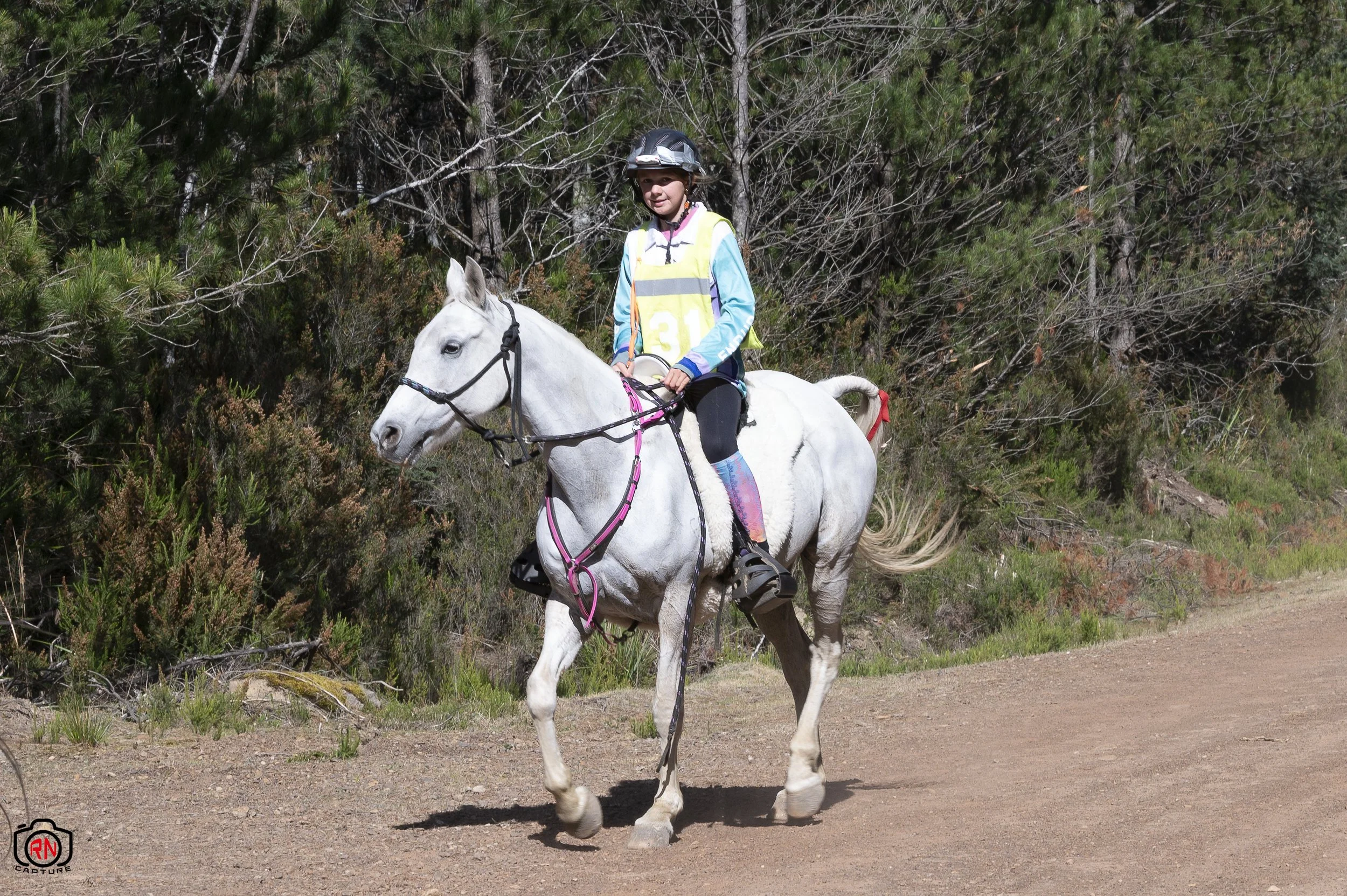 StateChampionships -Endurance Riding — Roger Nichols' Photos and Other ...