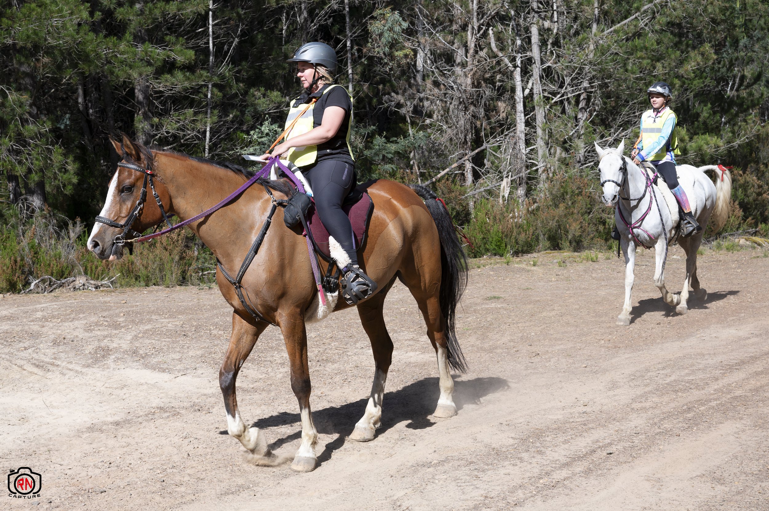 StateChampionships -Endurance Riding — Roger Nichols' Photos and Other ...