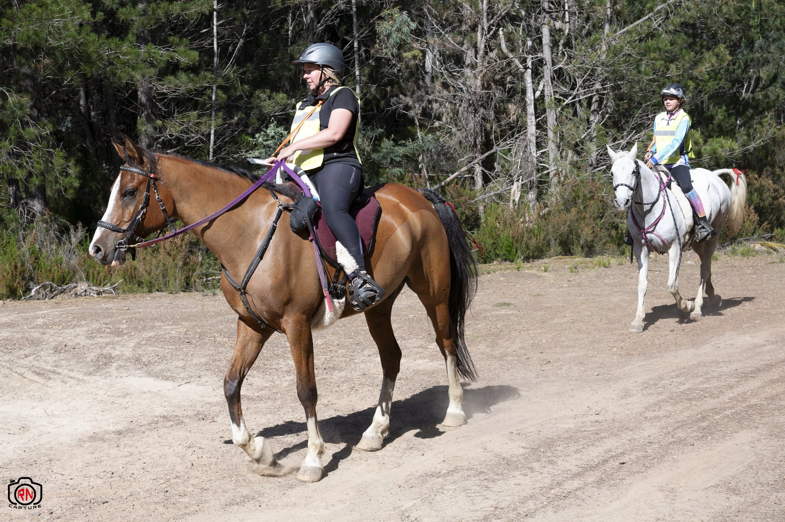 StateChampionships -Endurance Riding — Roger Nichols' Photos and Other ...