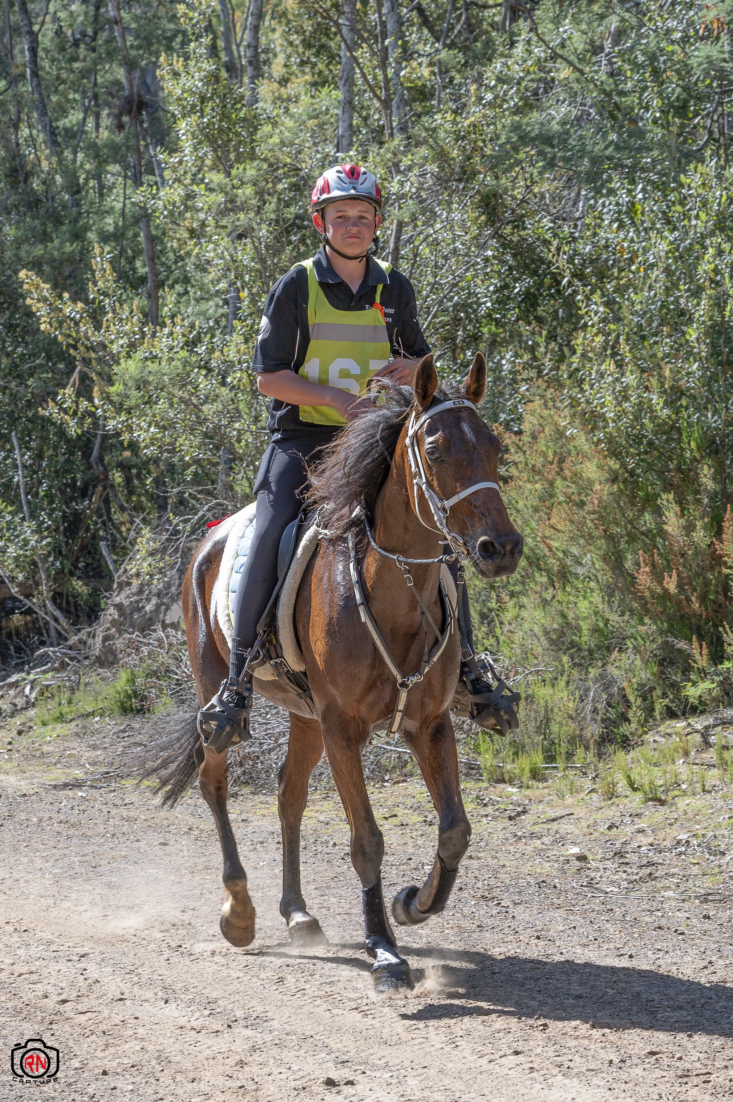National Association Riding StateChampionships -Endurance Riding — Roger Nichols' Photos and Other ...