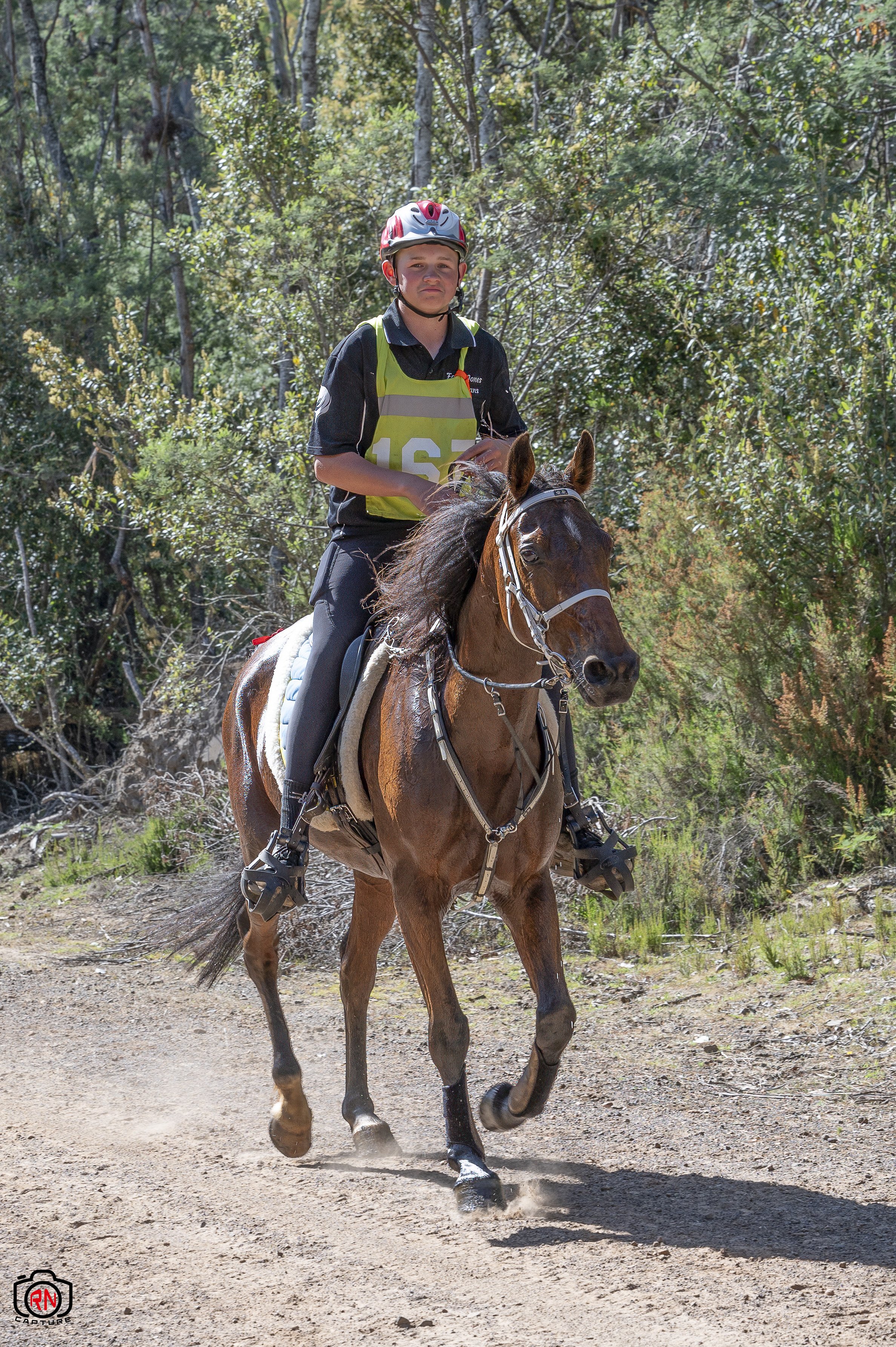 StateChampionships -Endurance Riding — Roger Nichols' Photos and Other ...