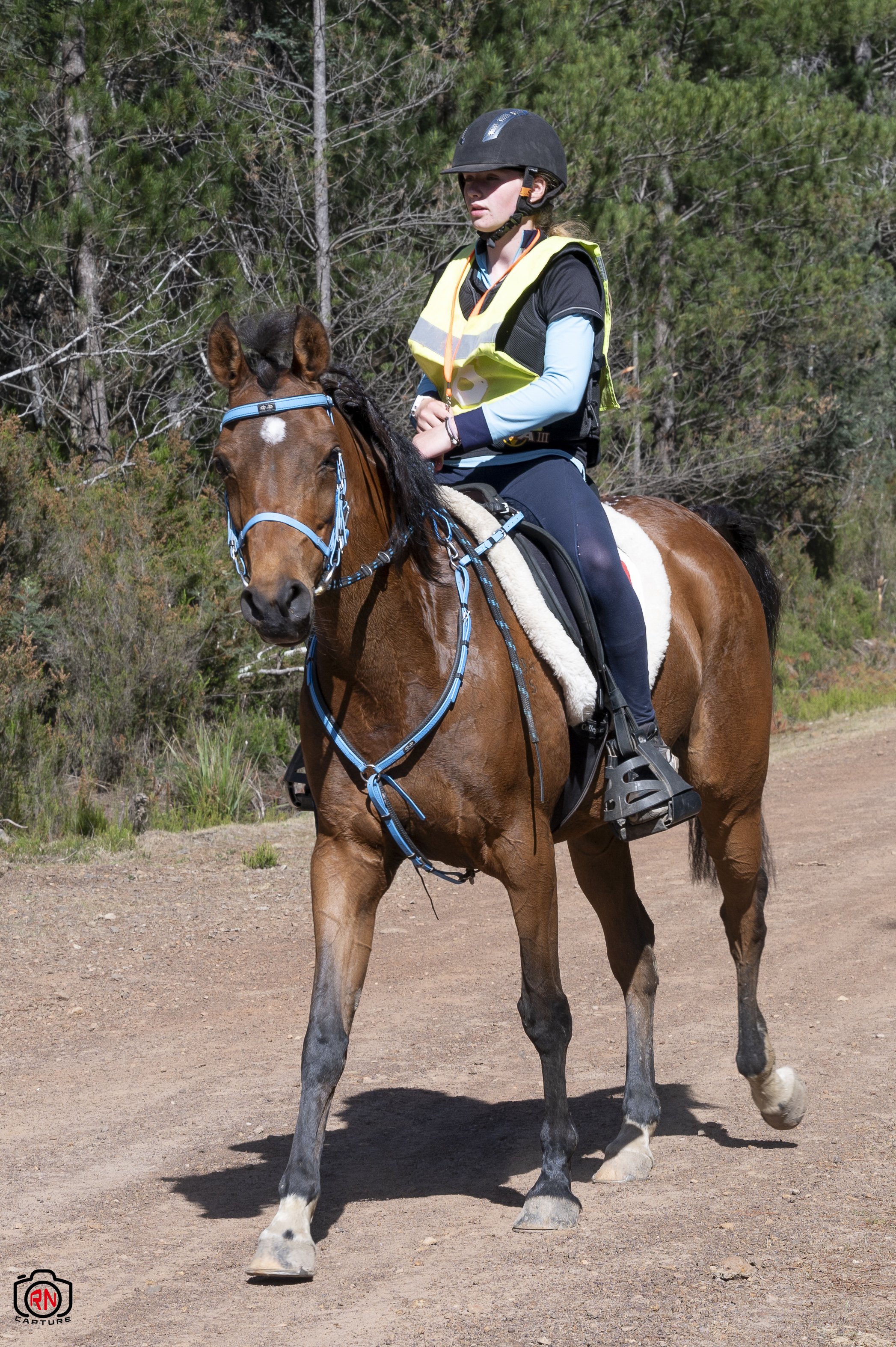 StateChampionships -Endurance Riding — Roger Nichols' Photos and Other ...