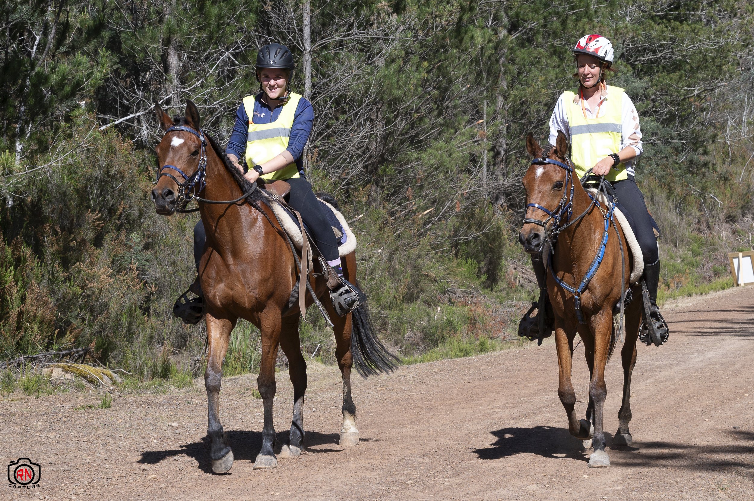 StateChampionships -Endurance Riding — Roger Nichols' Photos and Other ...