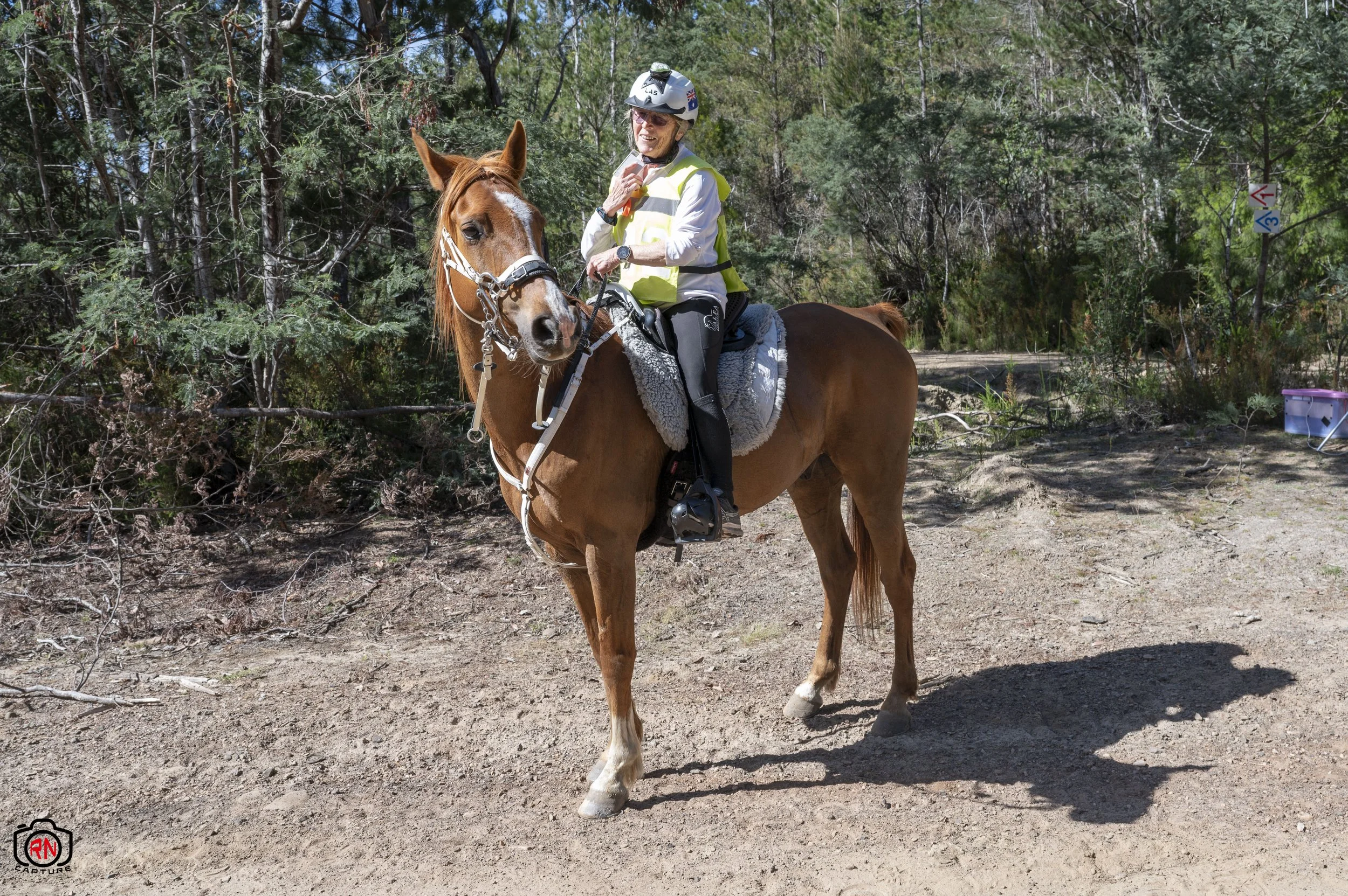 StateChampionships -Endurance Riding — Roger Nichols' Photos and Other ...