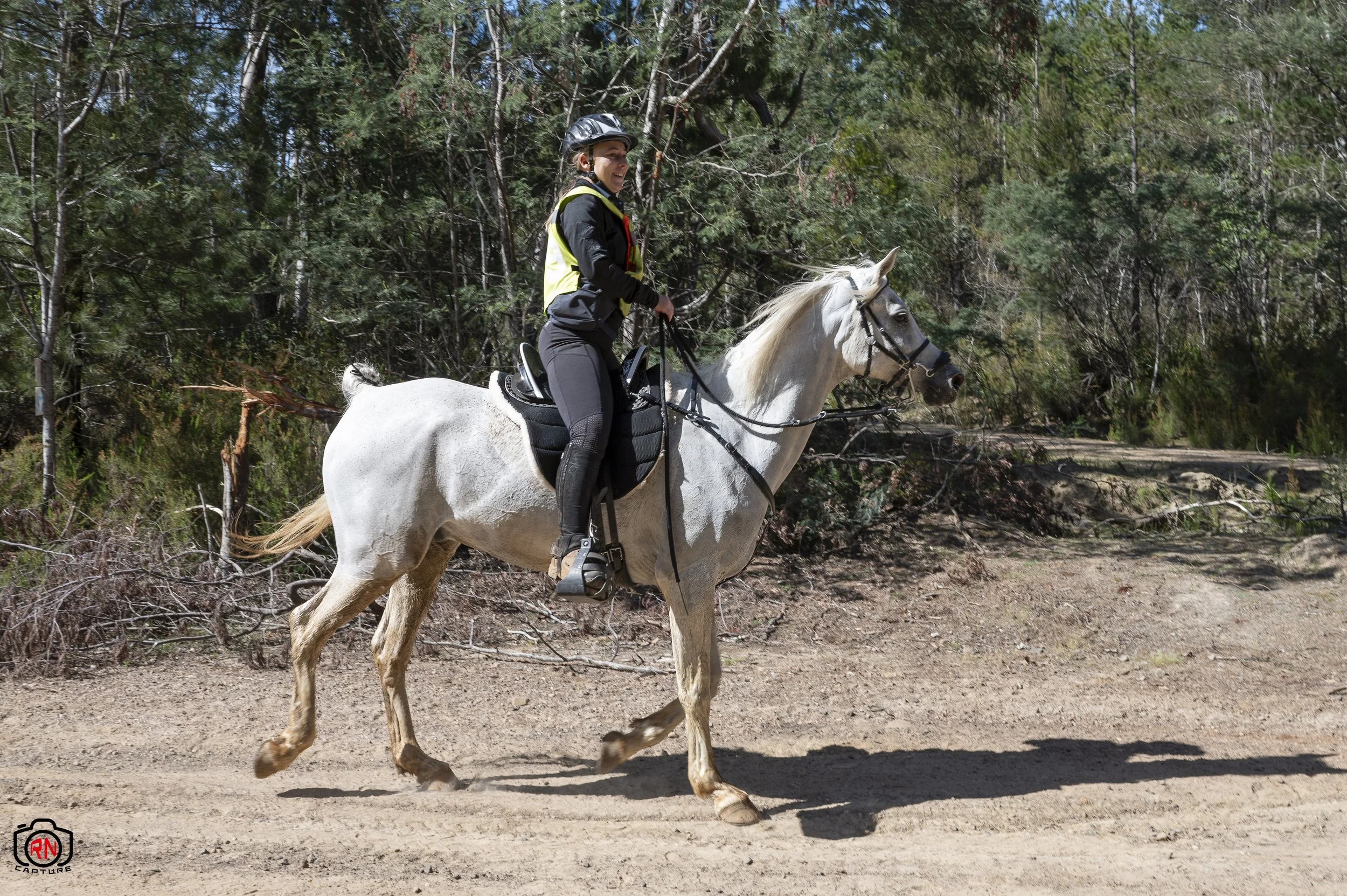 StateChampionships -Endurance Riding — Roger Nichols' Photos and Other ...