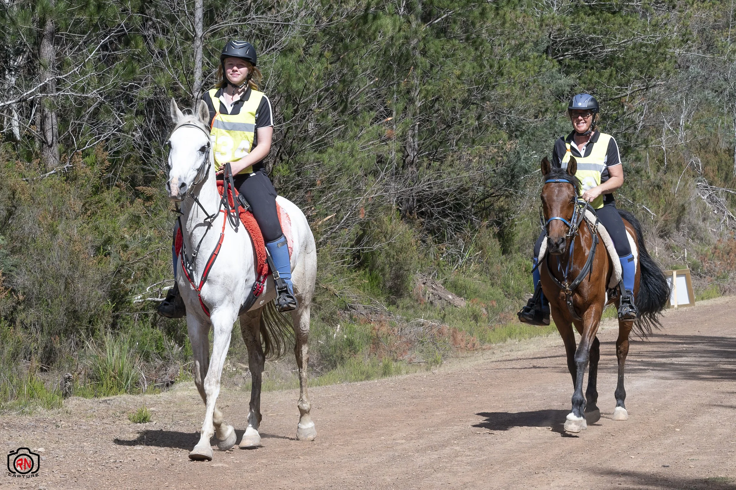 StateChampionships -Endurance Riding — Roger Nichols' Photos and Other ...