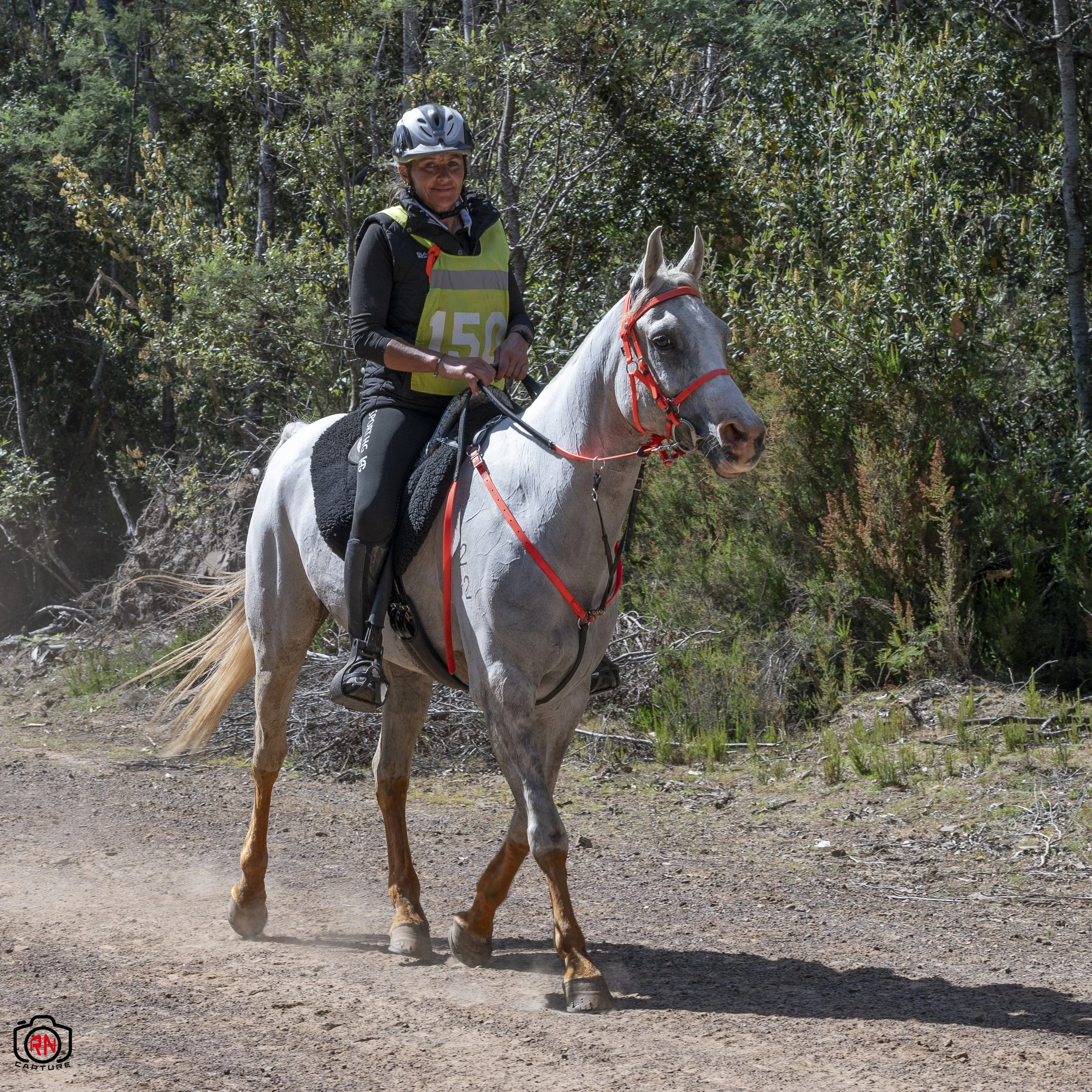 StateChampionships -Endurance Riding — Roger Nichols' Photos and Other ...