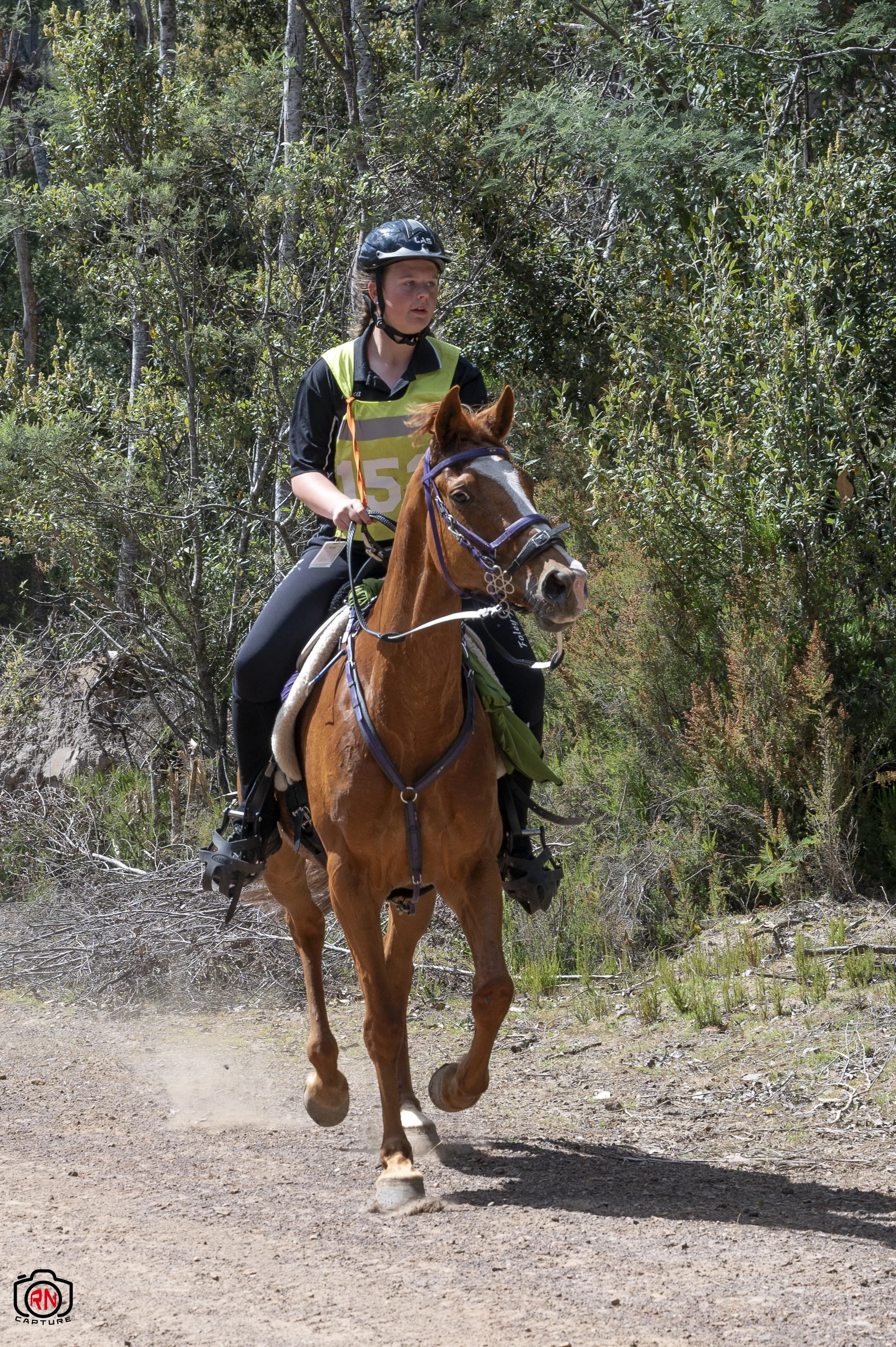 National Association Riding StateChampionships -Endurance Riding — Roger Nichols' Photos and Other ...