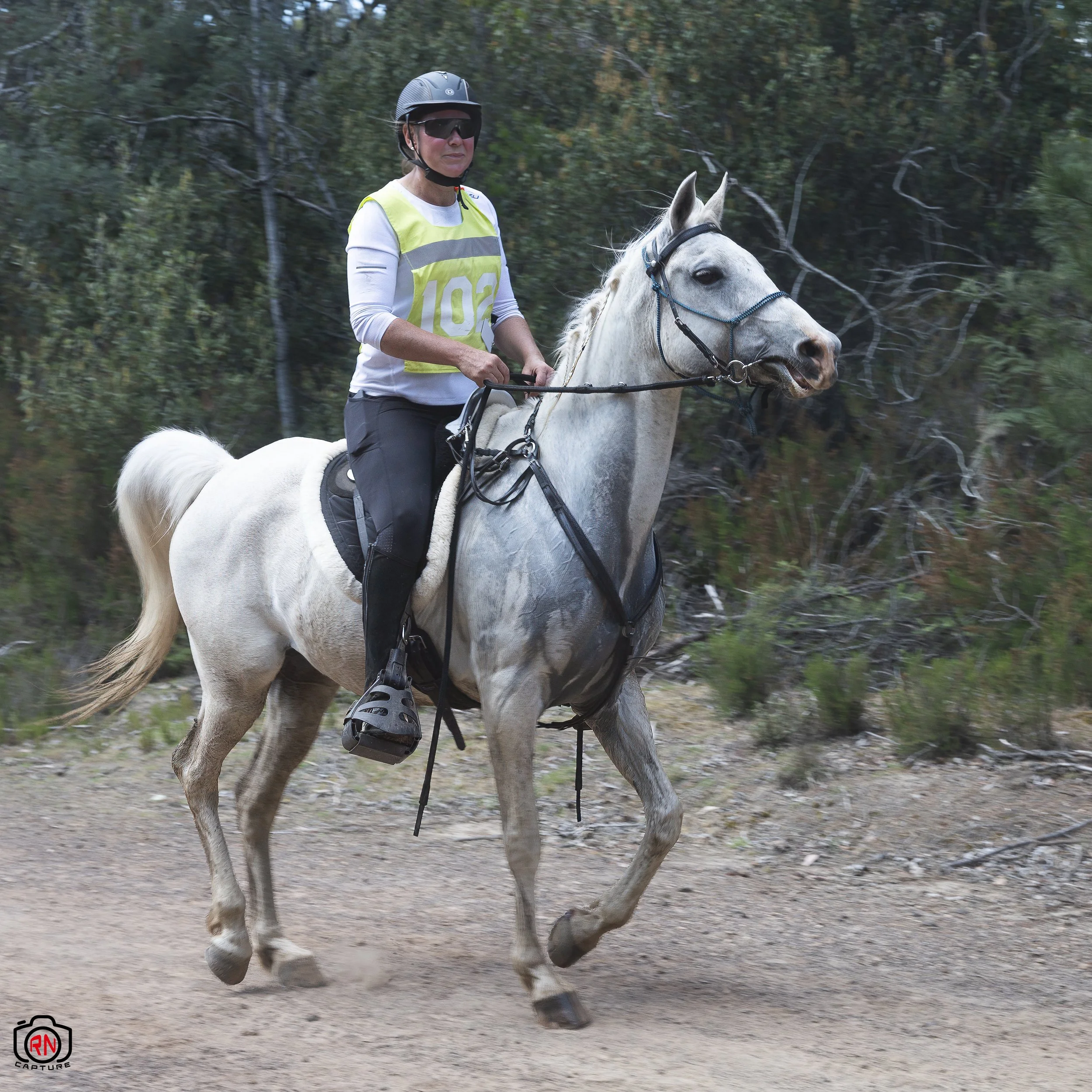 StateChampionships -Endurance Riding — Roger Nichols' Photos and Other ...