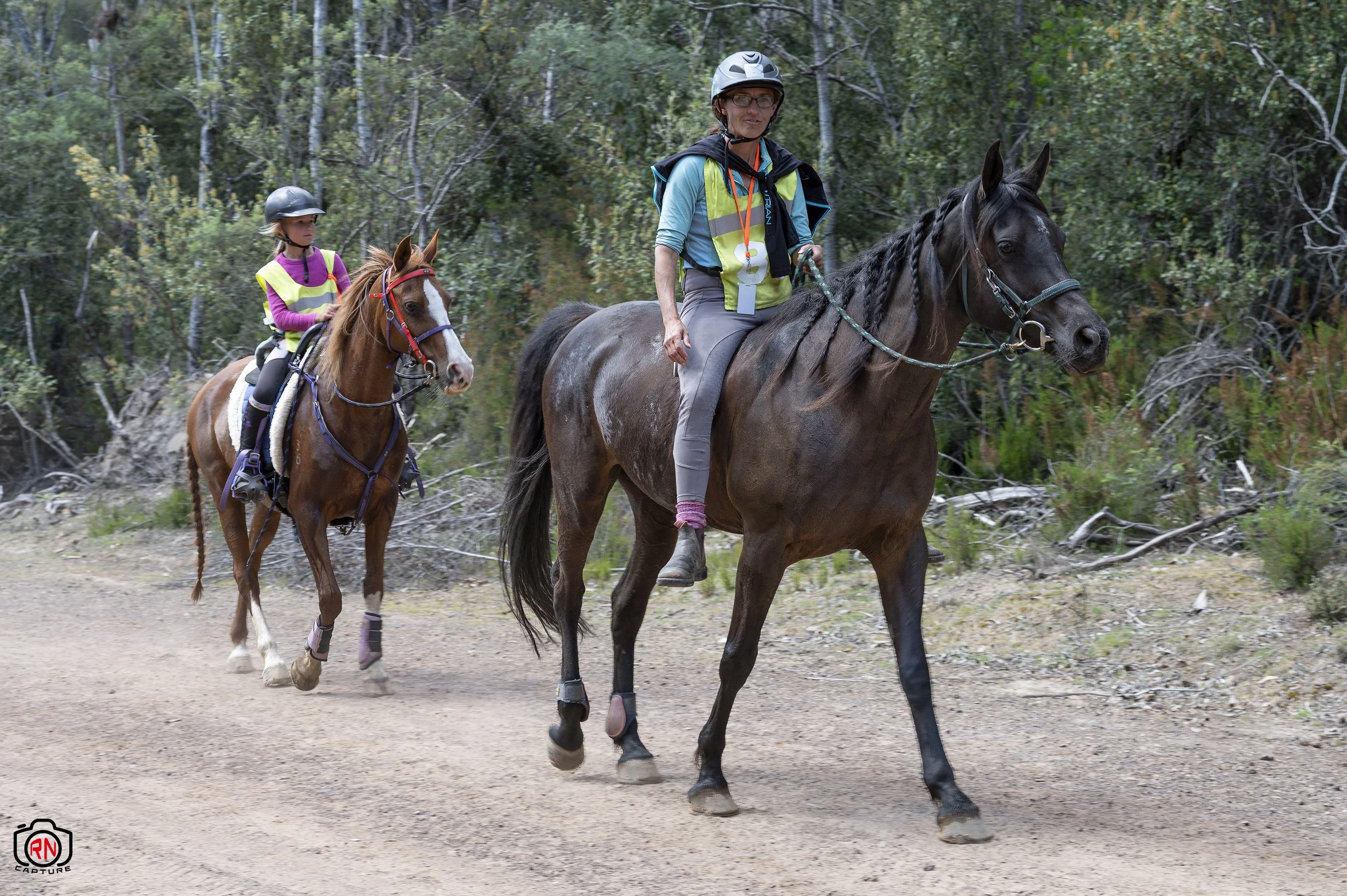 StateChampionships -Endurance Riding — Roger Nichols' Photos and Other ...
