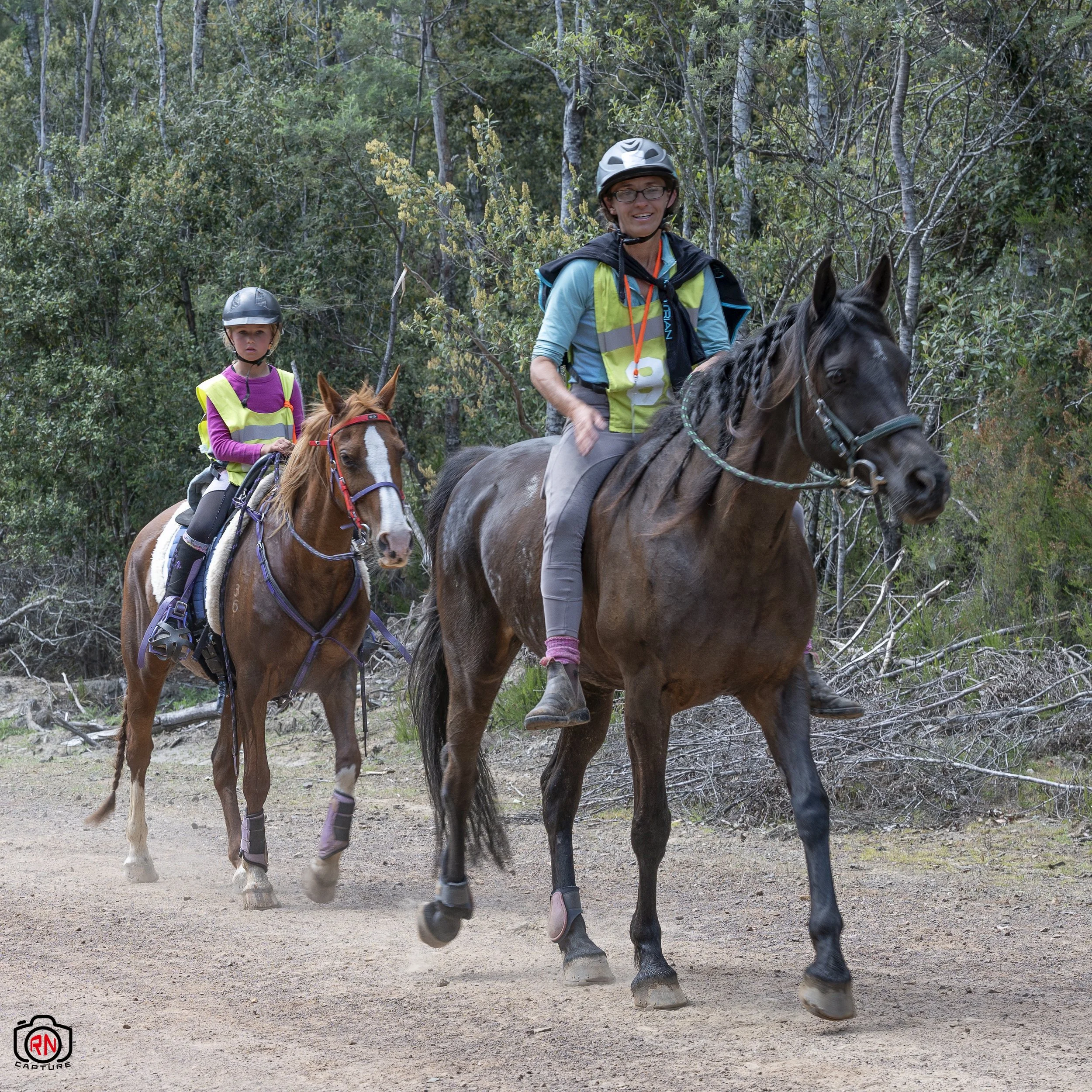 StateChampionships -Endurance Riding — Roger Nichols' Photos and Other ...