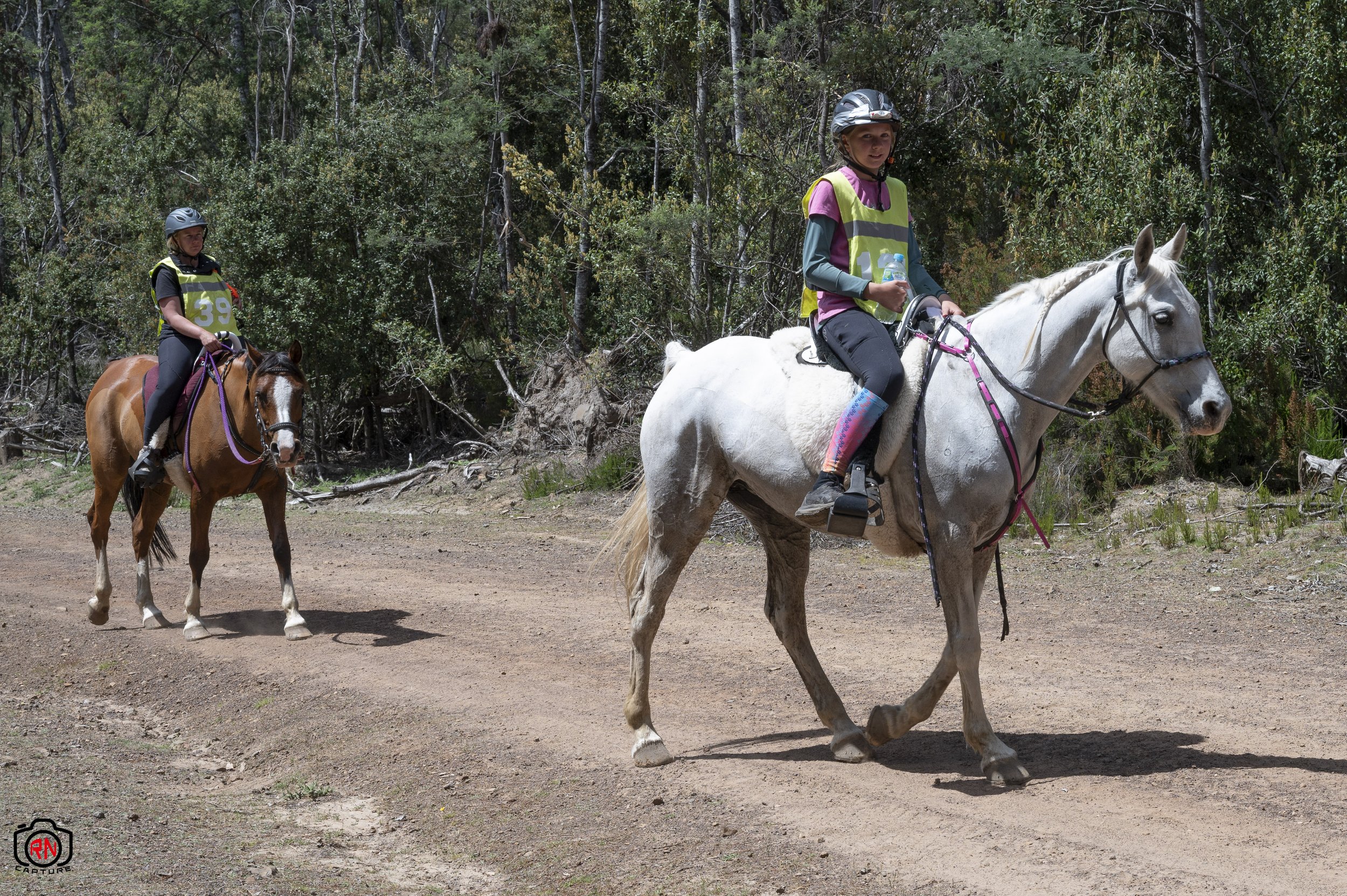 StateChampionships -Endurance Riding — Roger Nichols' Photos and Other ...